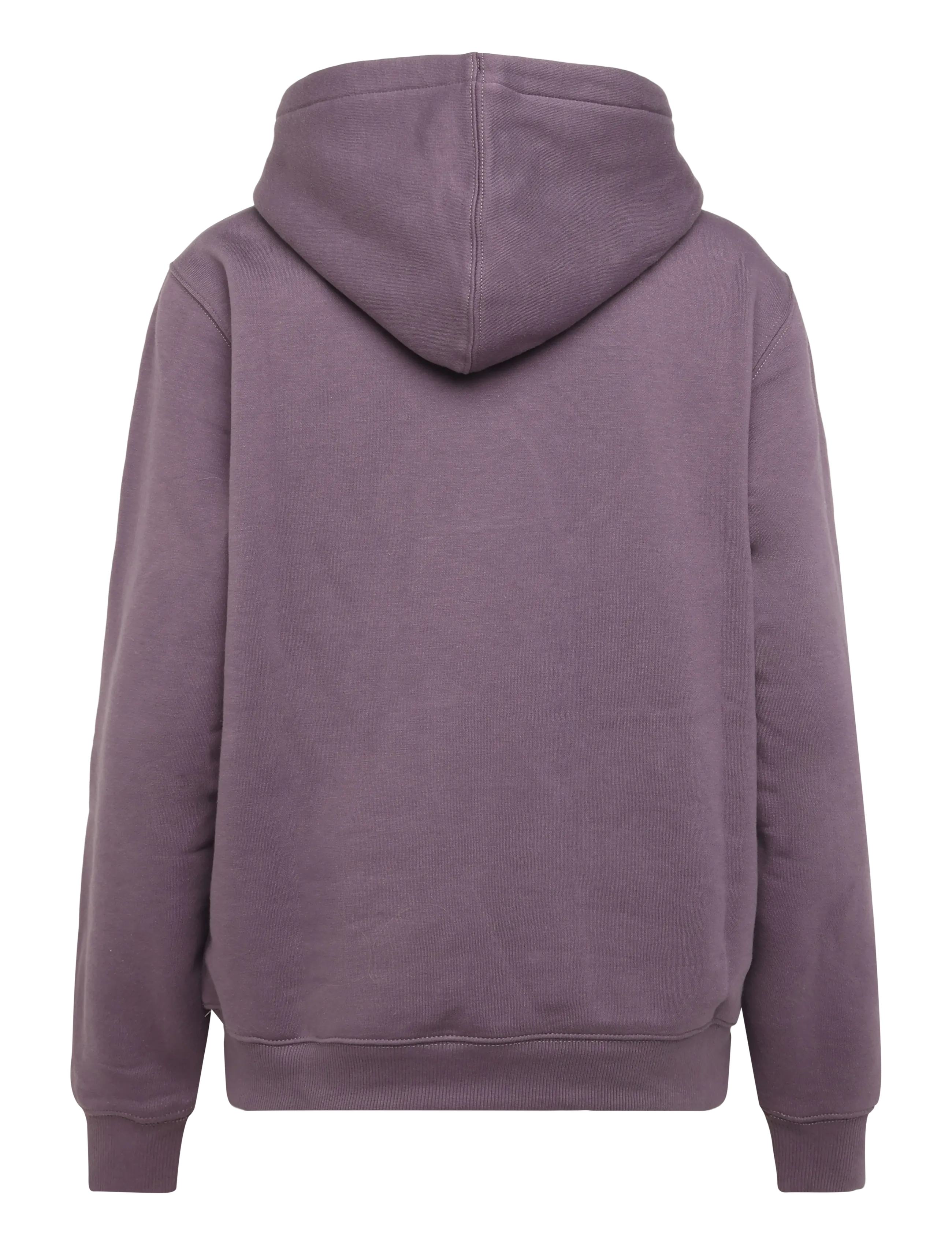 Dickies - OAKPORT HOODIE - hoodies - vintage violet - 1