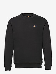 Dickies - OAKPORT SWEATSHIRT - sweatshirts - black - 0