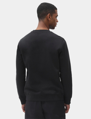 Dickies - OAKPORT SWEATSHIRT - sportiska stila džemperi - black - 3