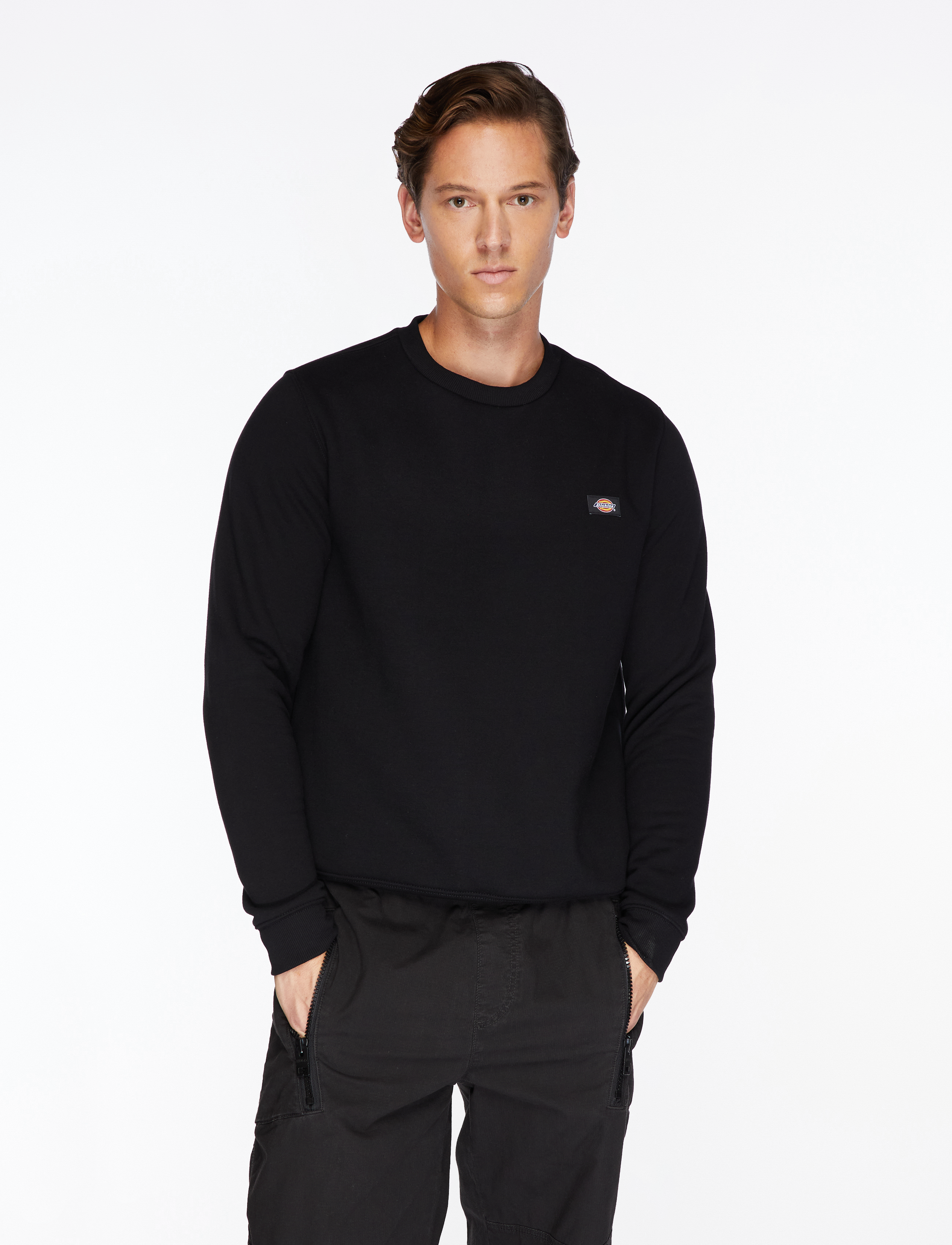 Dickies OAKPORT SWEATSHIRT - Sweatshirts - BLACK / black