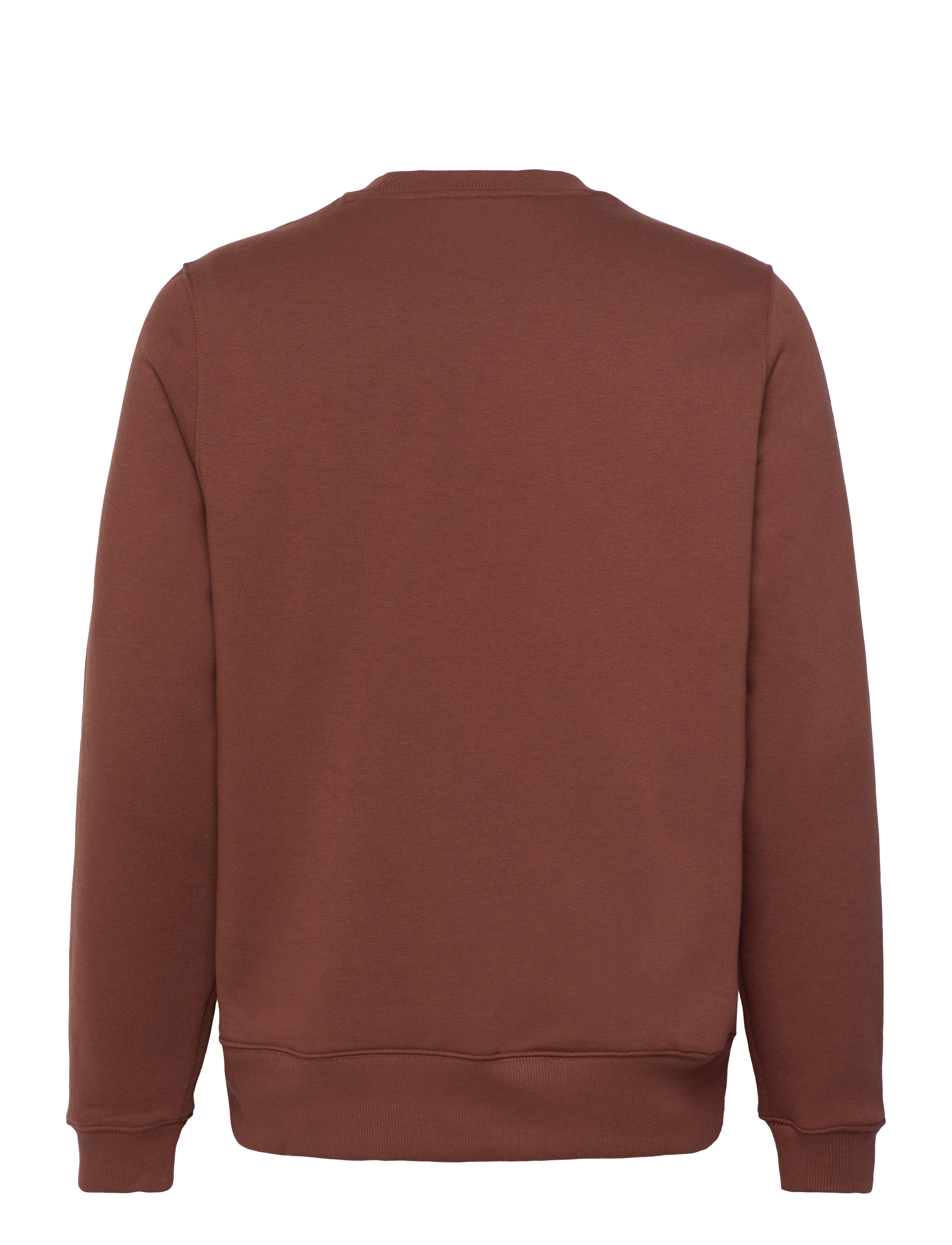 Dickies - OAKPORT SWEATSHIRT - sweatshirts - cappuccino - 1