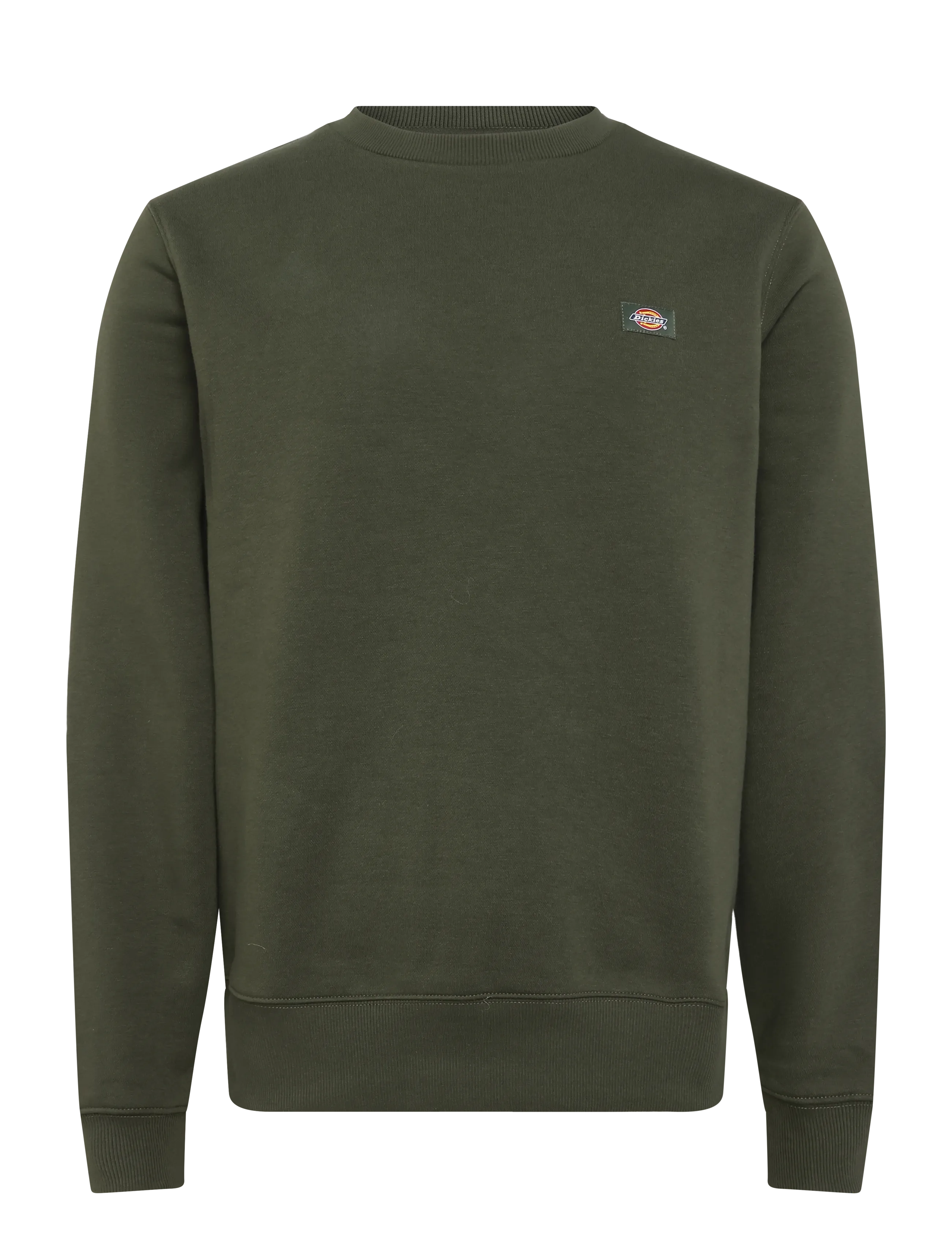 Dickies OAKPORT SWEATSHIRT - Kleidung - DEEP DEPTHS / khaki/green