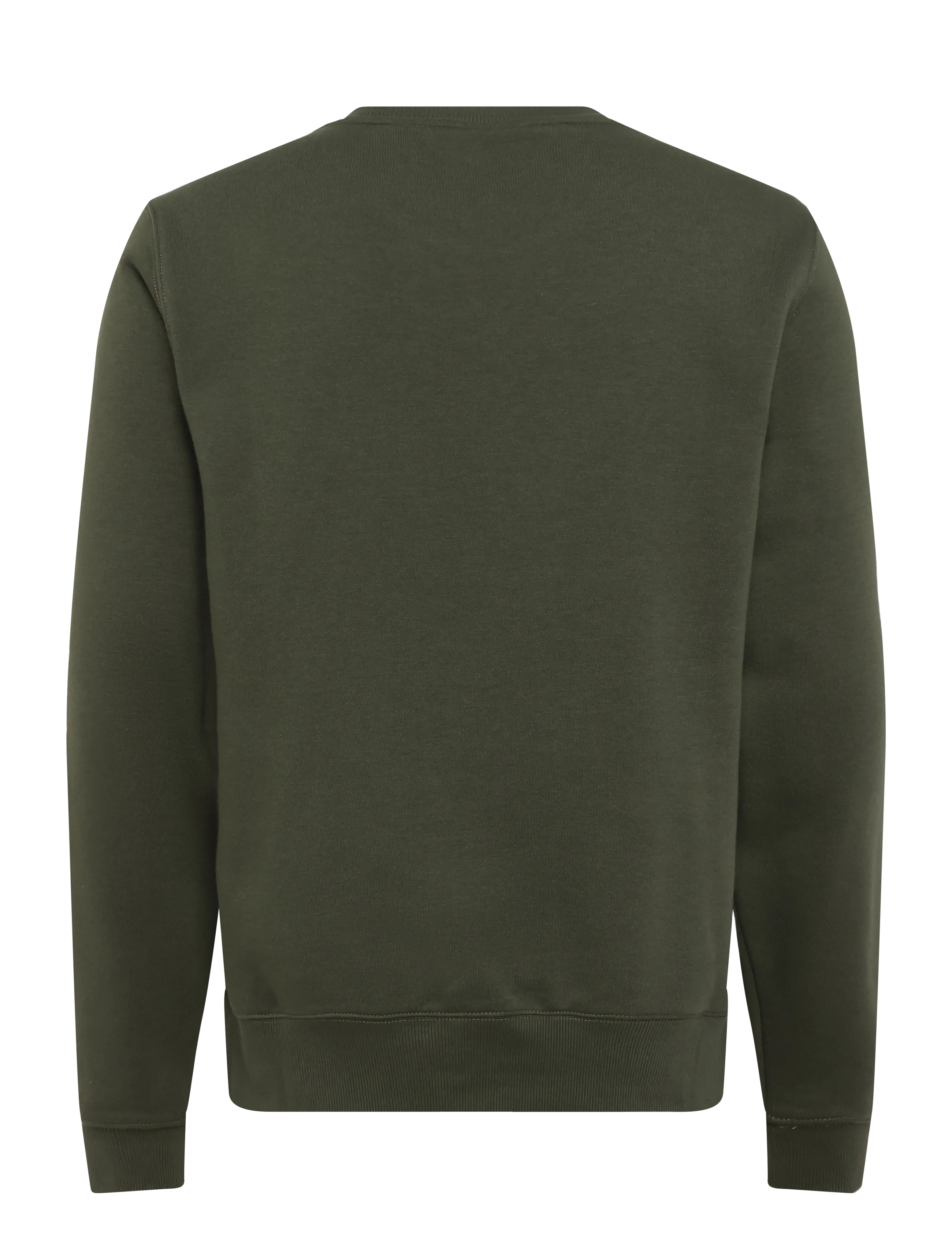 Dickies - OAKPORT SWEATSHIRT - sweatshirts - deep depths - 1