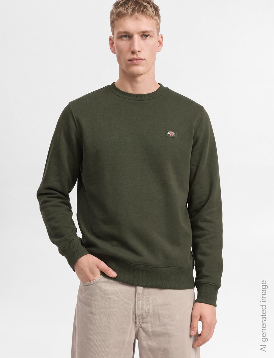 Dickies - OAKPORT SWEATSHIRT - sweatshirts - deep depths - 3