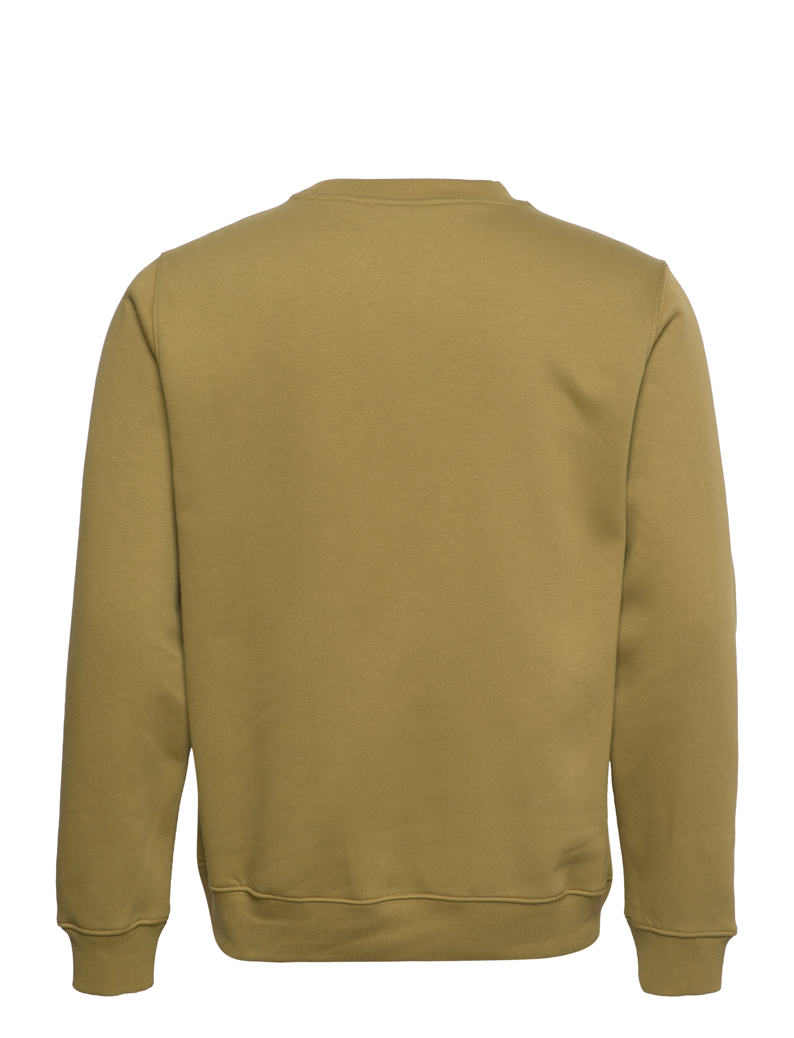 Dickies - OAKPORT SWEATSHIRT - sweatshirts - green moss - 1