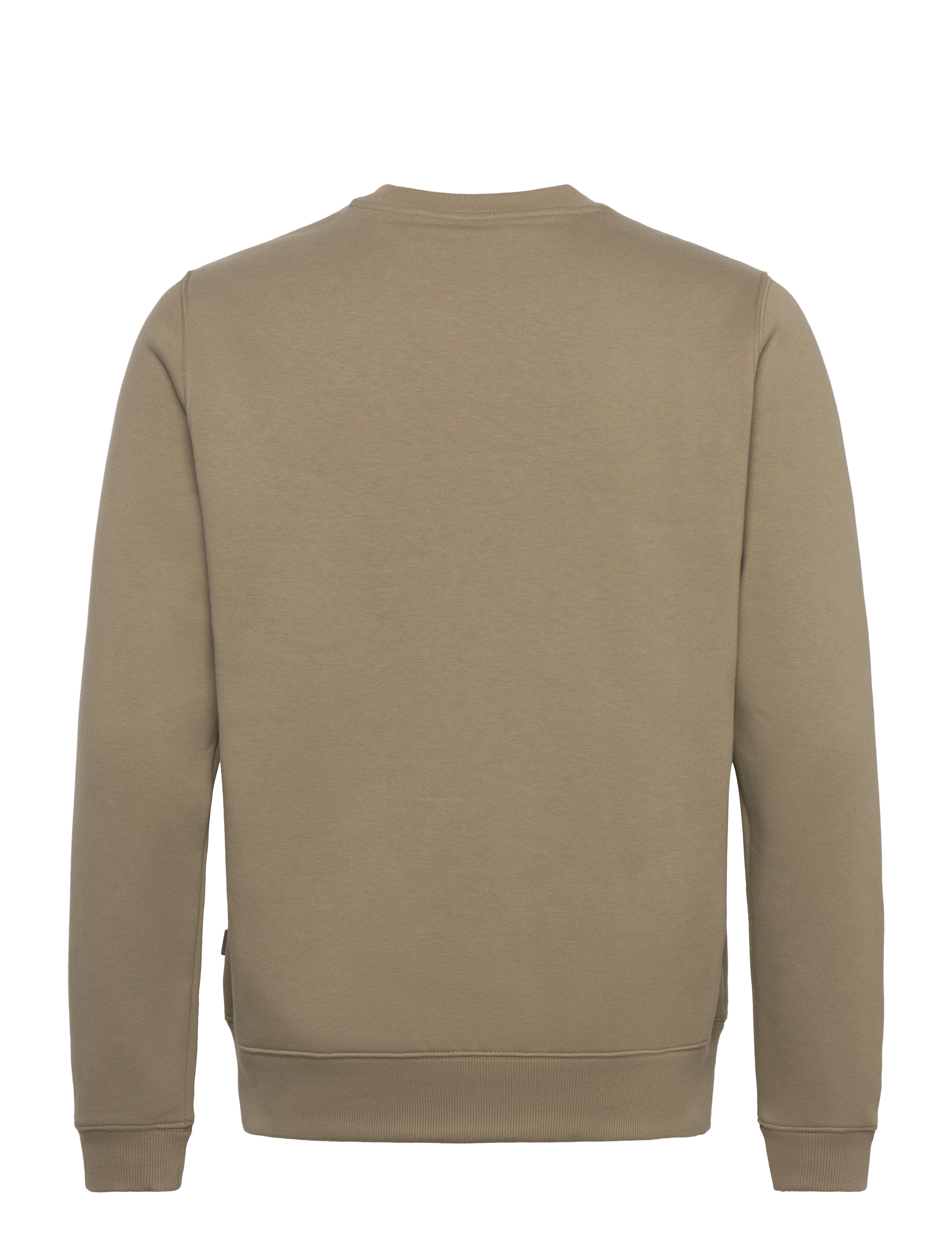 Dickies - OAKPORT SWEATSHIRT - sweatshirts - imperial green - 1