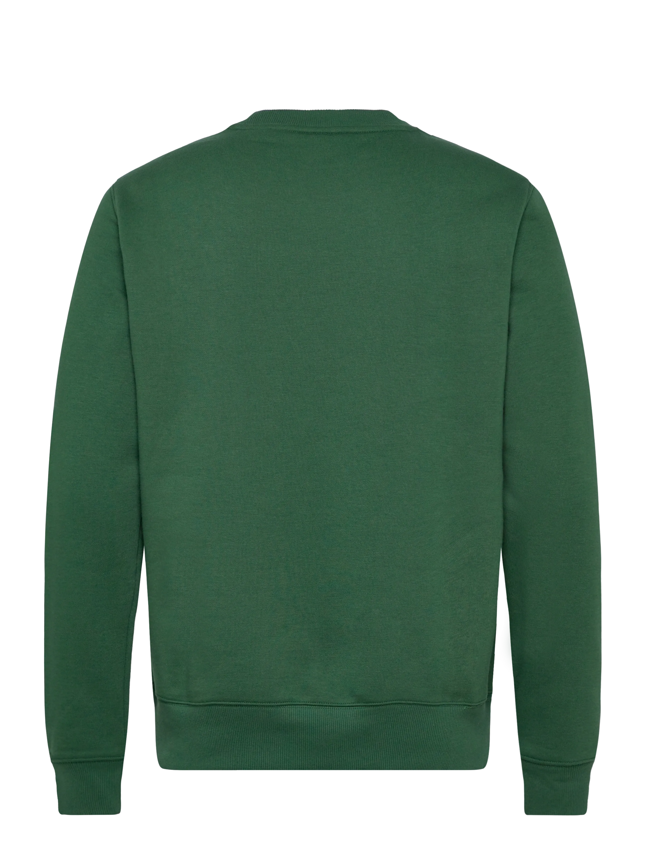 Dickies - OAKPORT SWEATSHIRT - shop by style - pine needle gre - 1