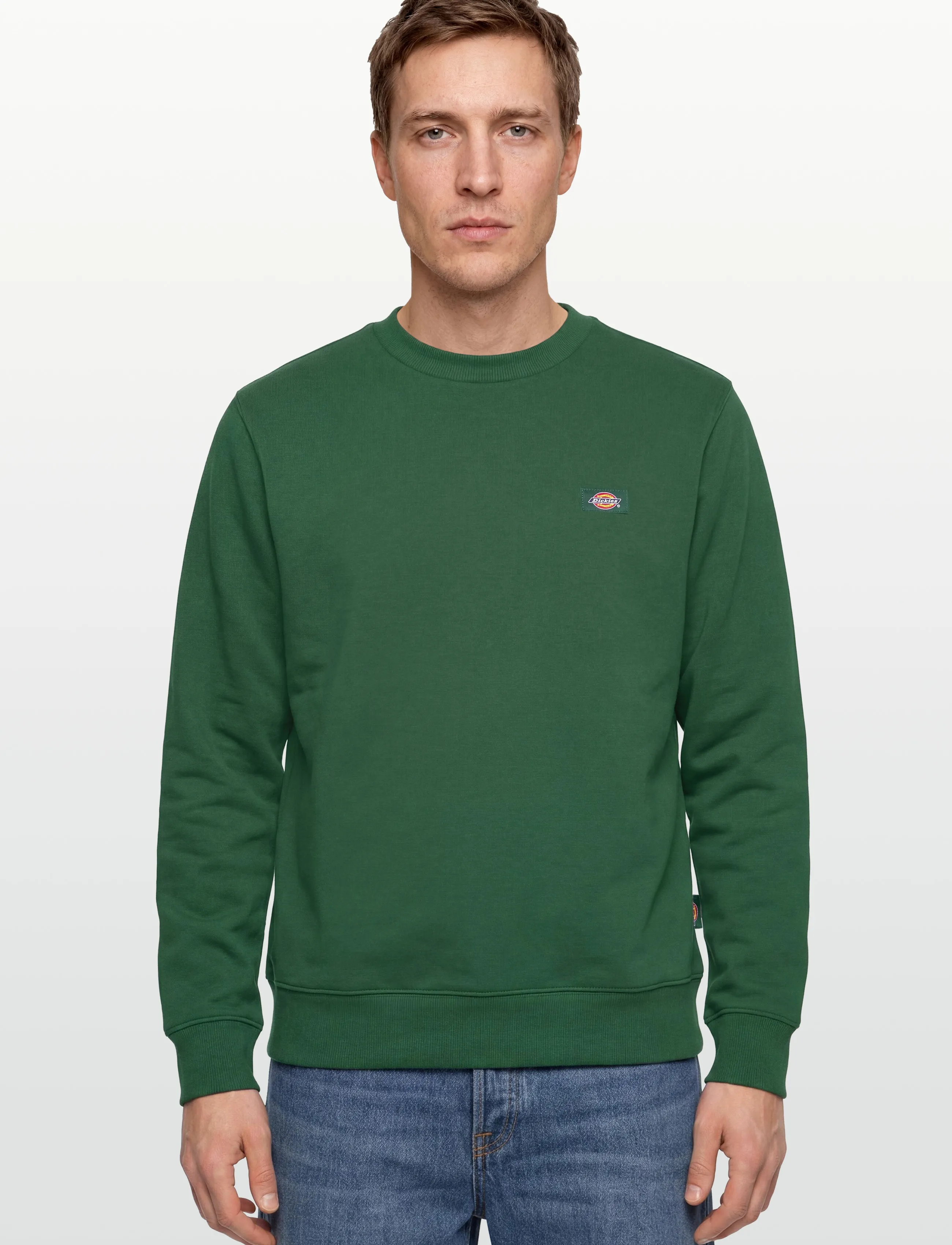 Dickies - OAKPORT SWEATSHIRT - sweatshirts - pine needle gre - 3