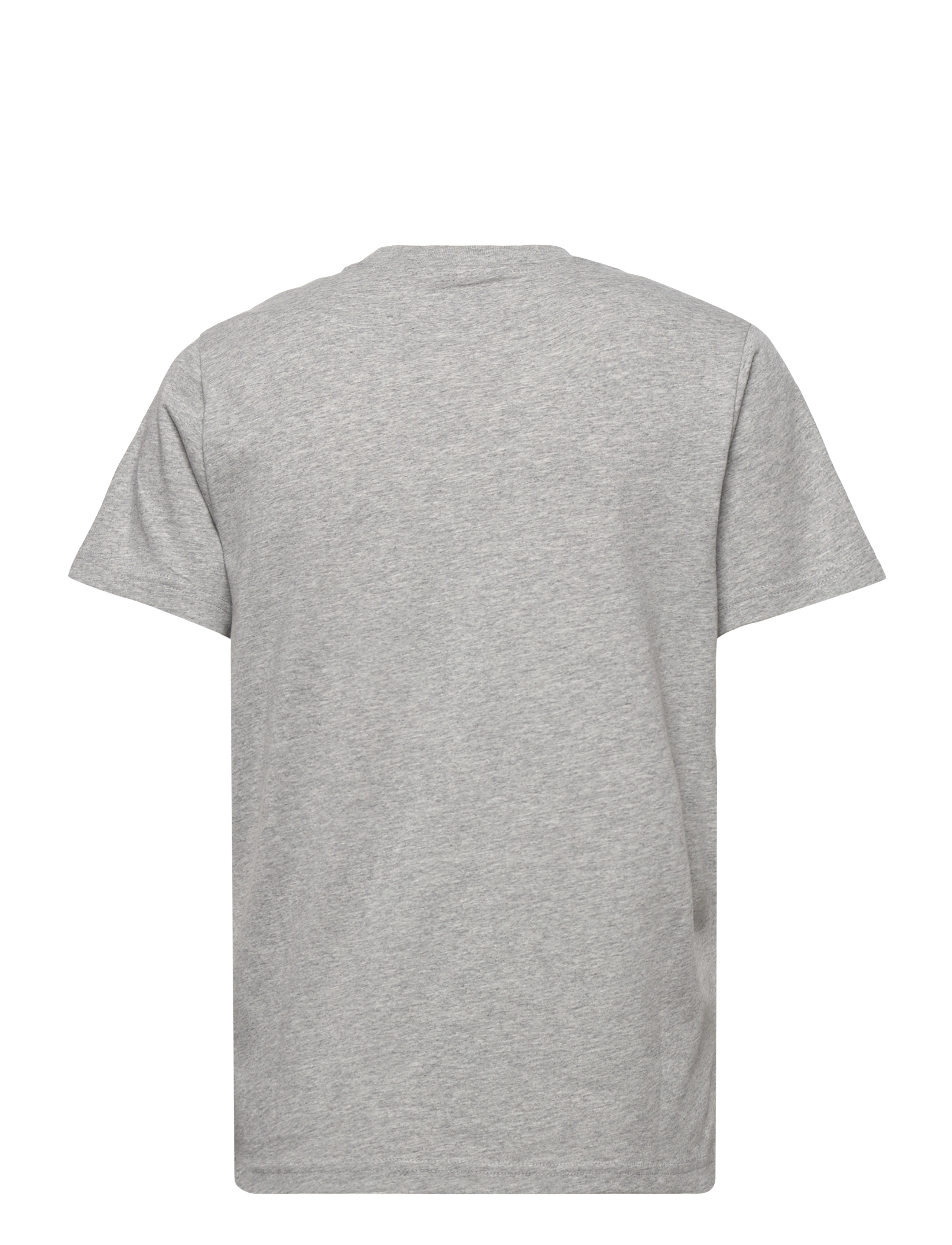 Dickies - SS MAPLETON T-SHIRT W - grey melange - 1