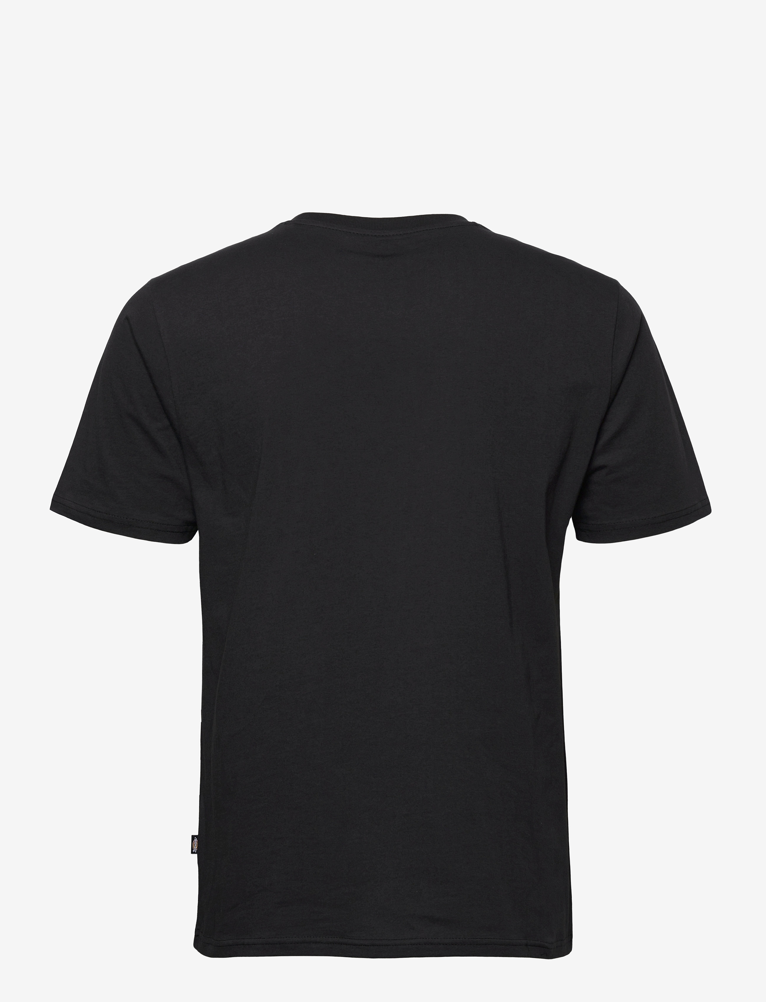 Dickies - MAPLETON SS TEE - kurzärmelig - black - 2