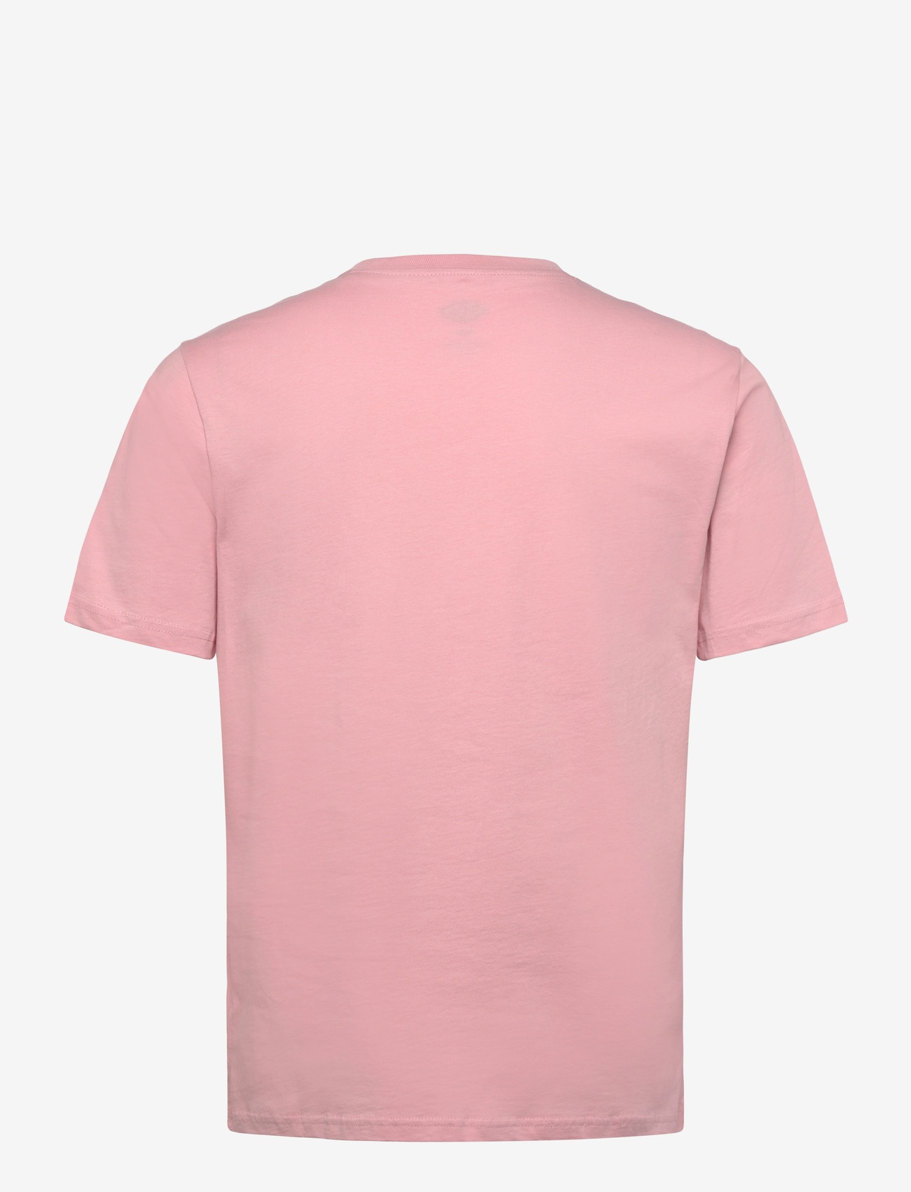 Dickies - MAPLETON SS TEE - kurzärmelig - bridal rose - 2
