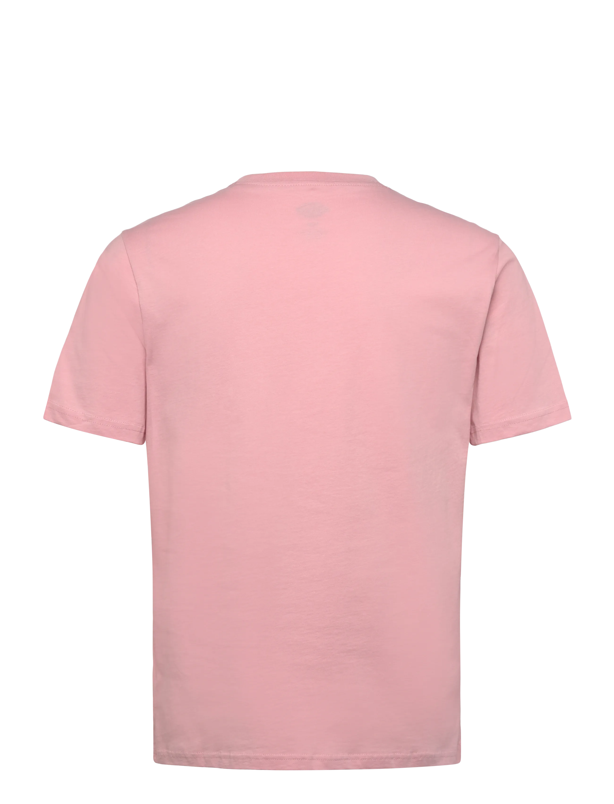 Dickies - MAPLETON SS TEE - die niedrigsten preise - bridal rose - 2