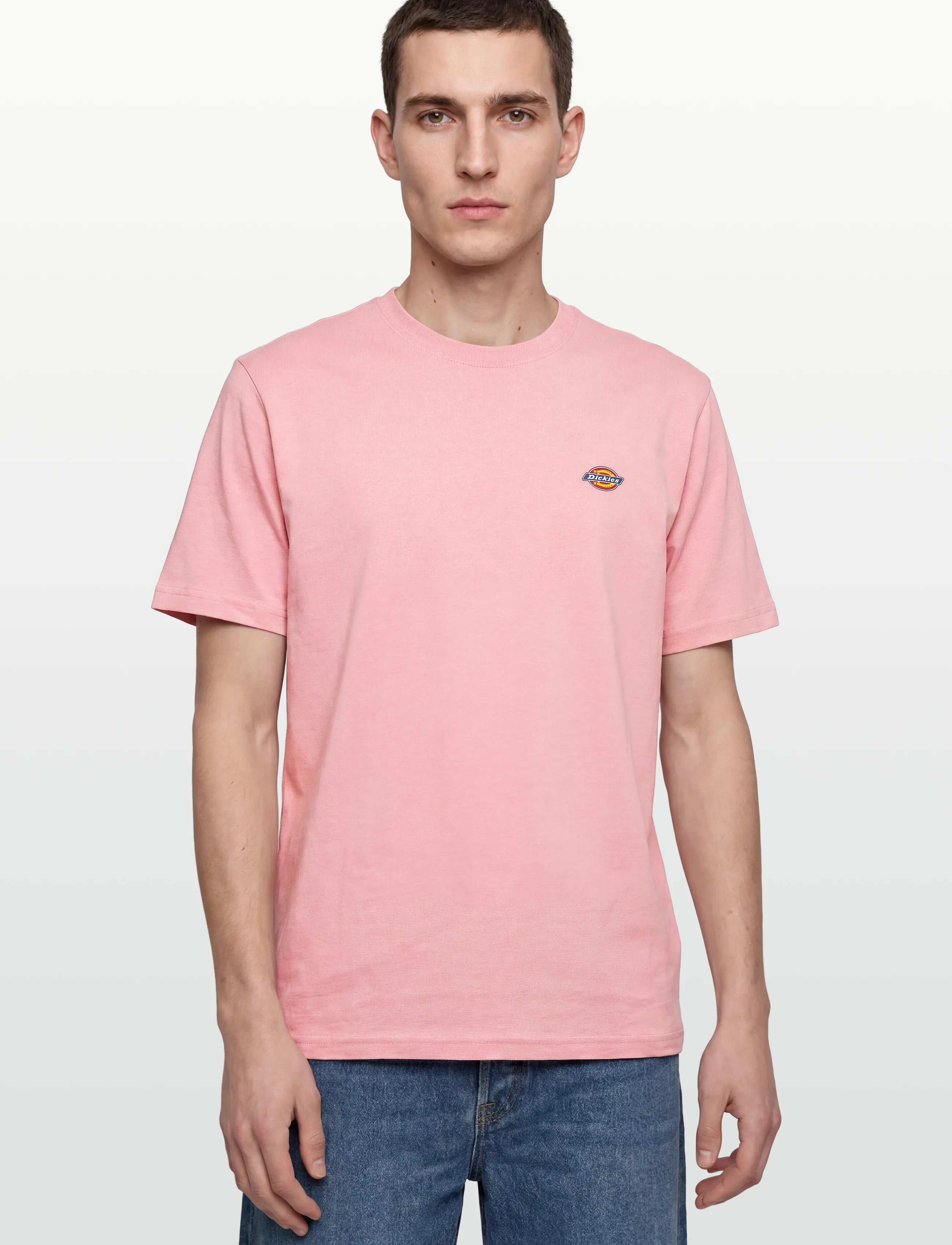 Dickies - MAPLETON SS TEE - die niedrigsten preise - bridal rose - 3