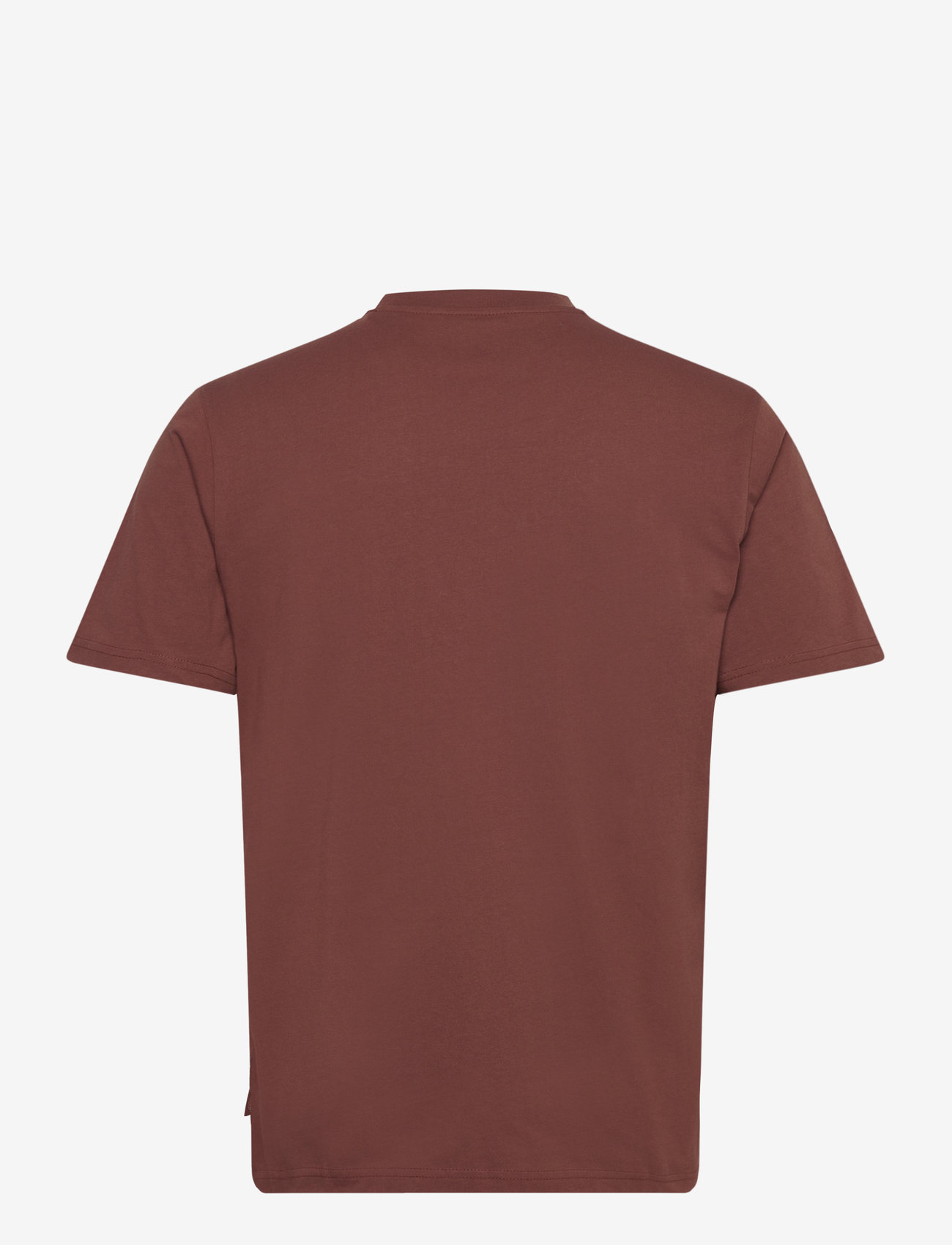 Dickies - MAPLETON SS TEE - sügisesed riided - cappuccino - 1