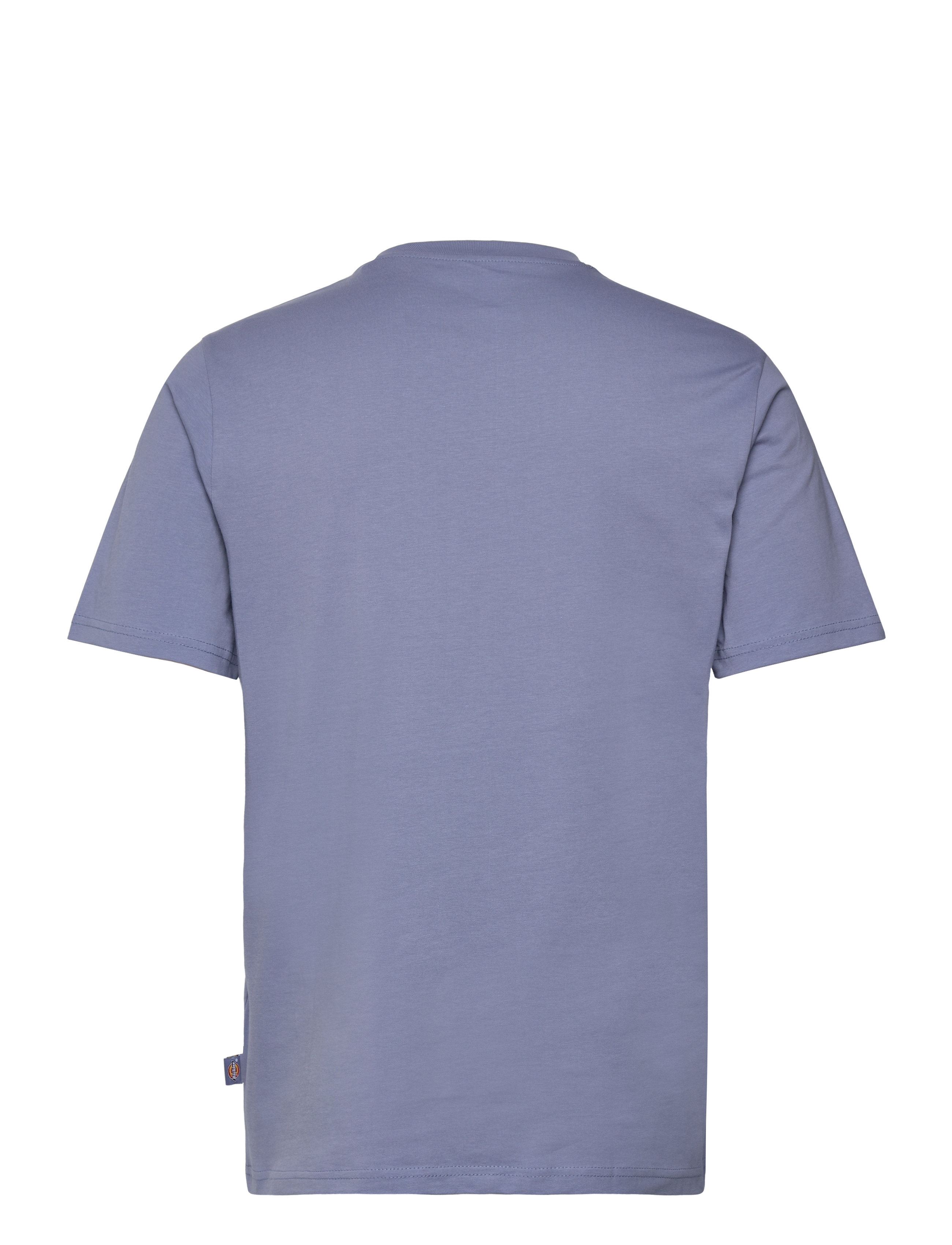 Dickies - MAPLETON SS TEE - madalaimad hinnad - country blue - 1
