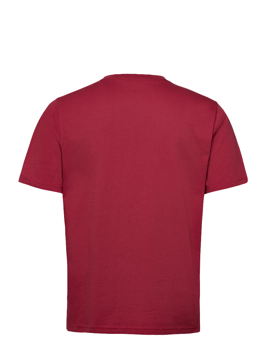 Dickies - MAPLETON SS TEE - short-sleeved t-shirts - garnet - 2