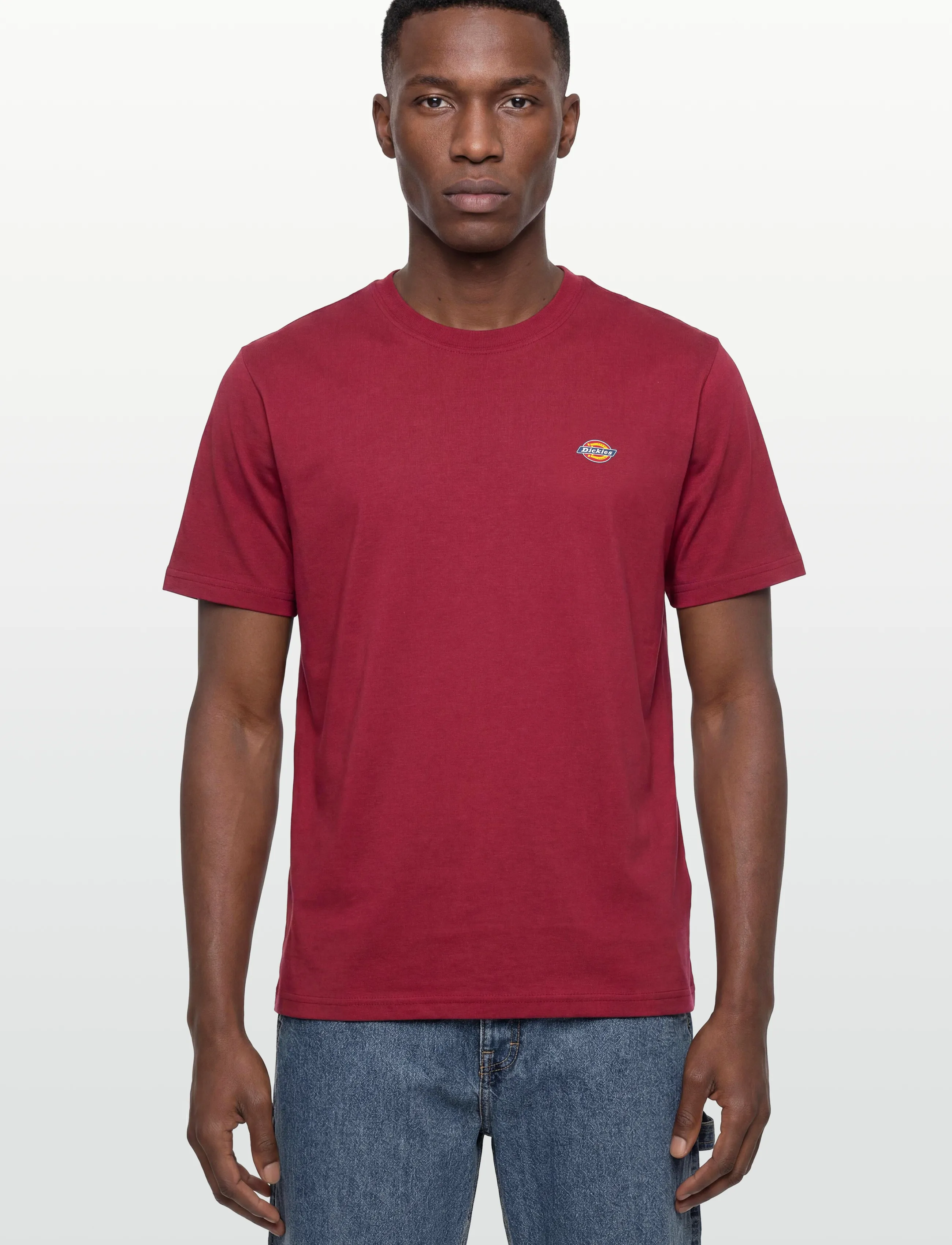 Dickies Mapleton Ss Tee t-shirts - bas herr – bild 2