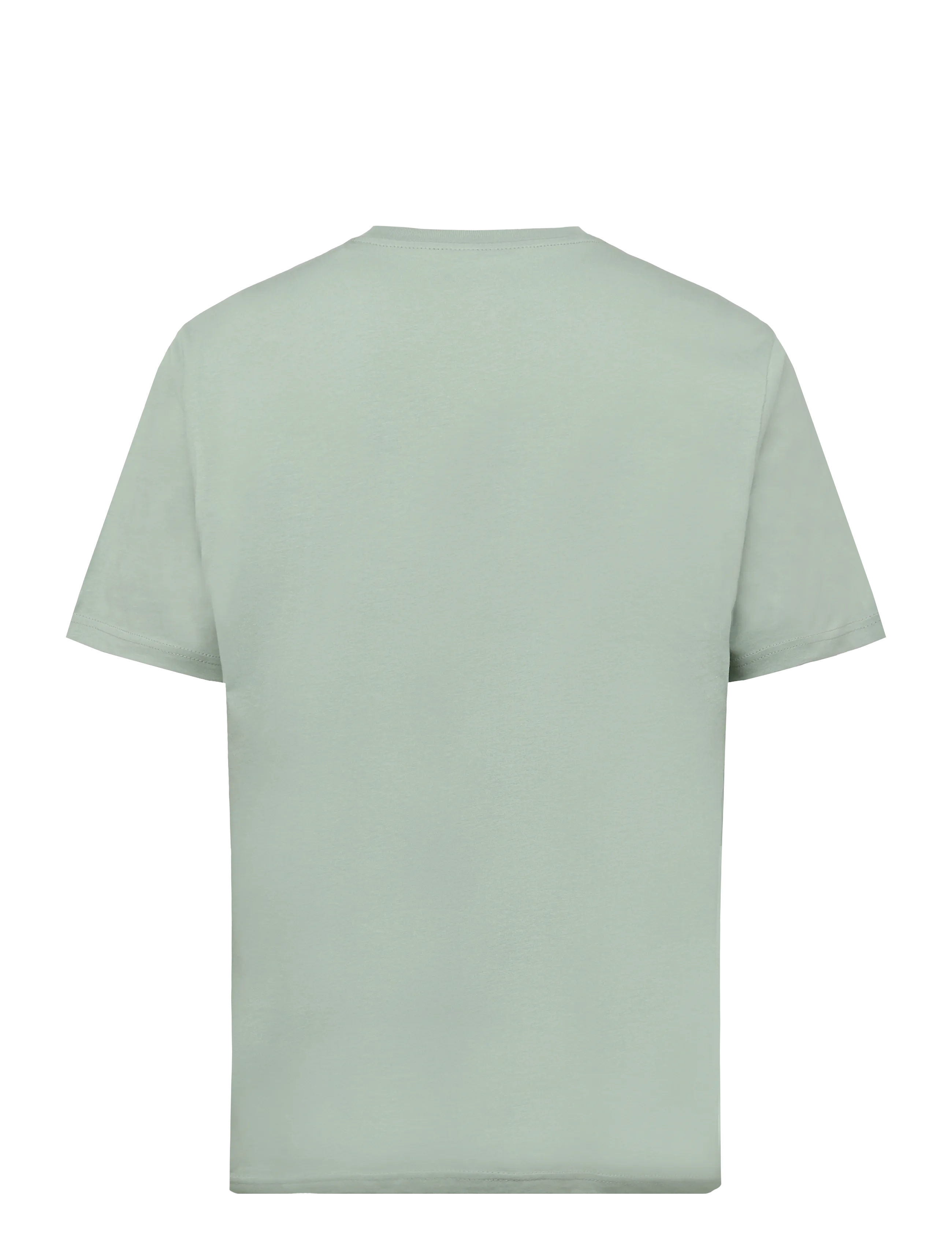 Dickies - MAPLETON SS TEE - kortärmade t-shirts - jadeite - 1