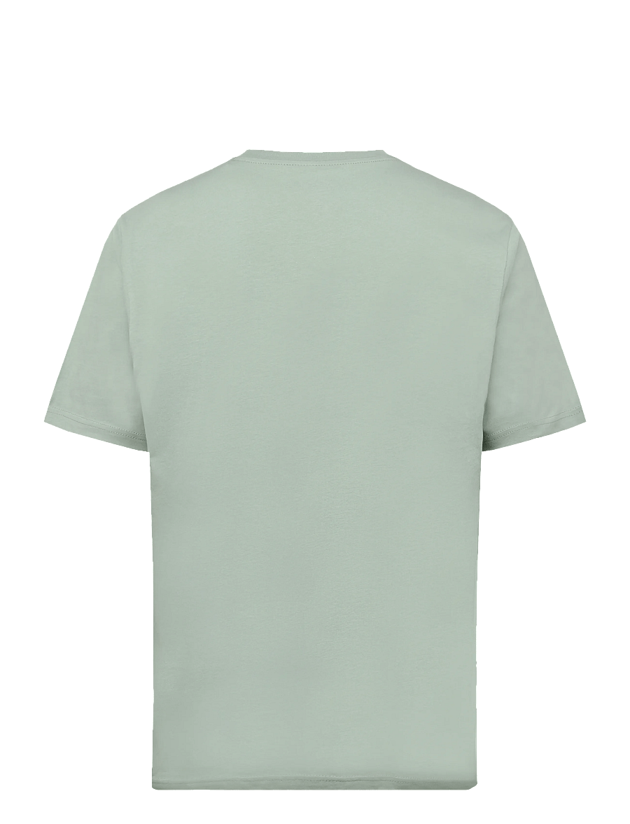 Dickies - MAPLETON SS TEE - kortärmade t-shirts - jadeite - 1