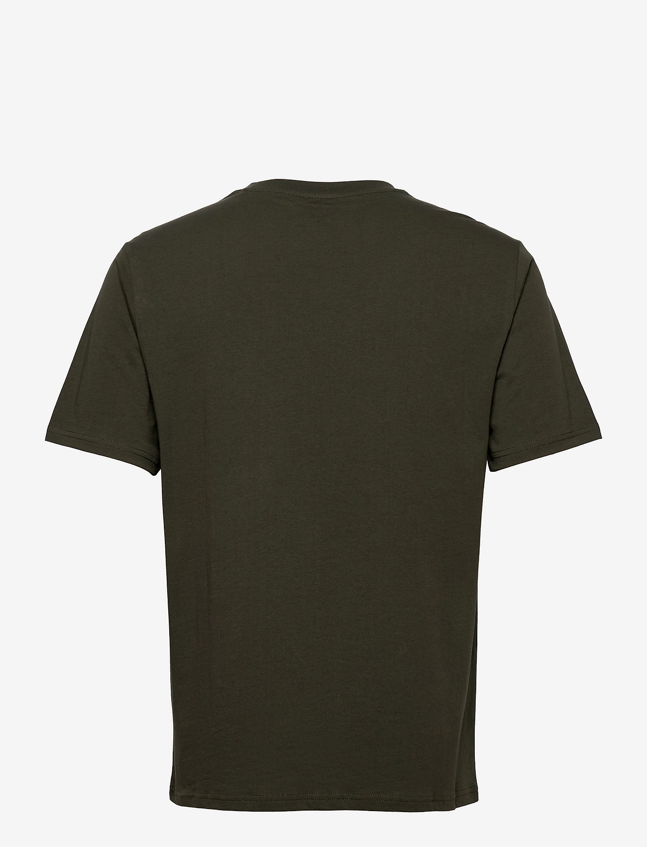 Dickies - MAPLETON SS TEE - autumn clothing - olive green - 1