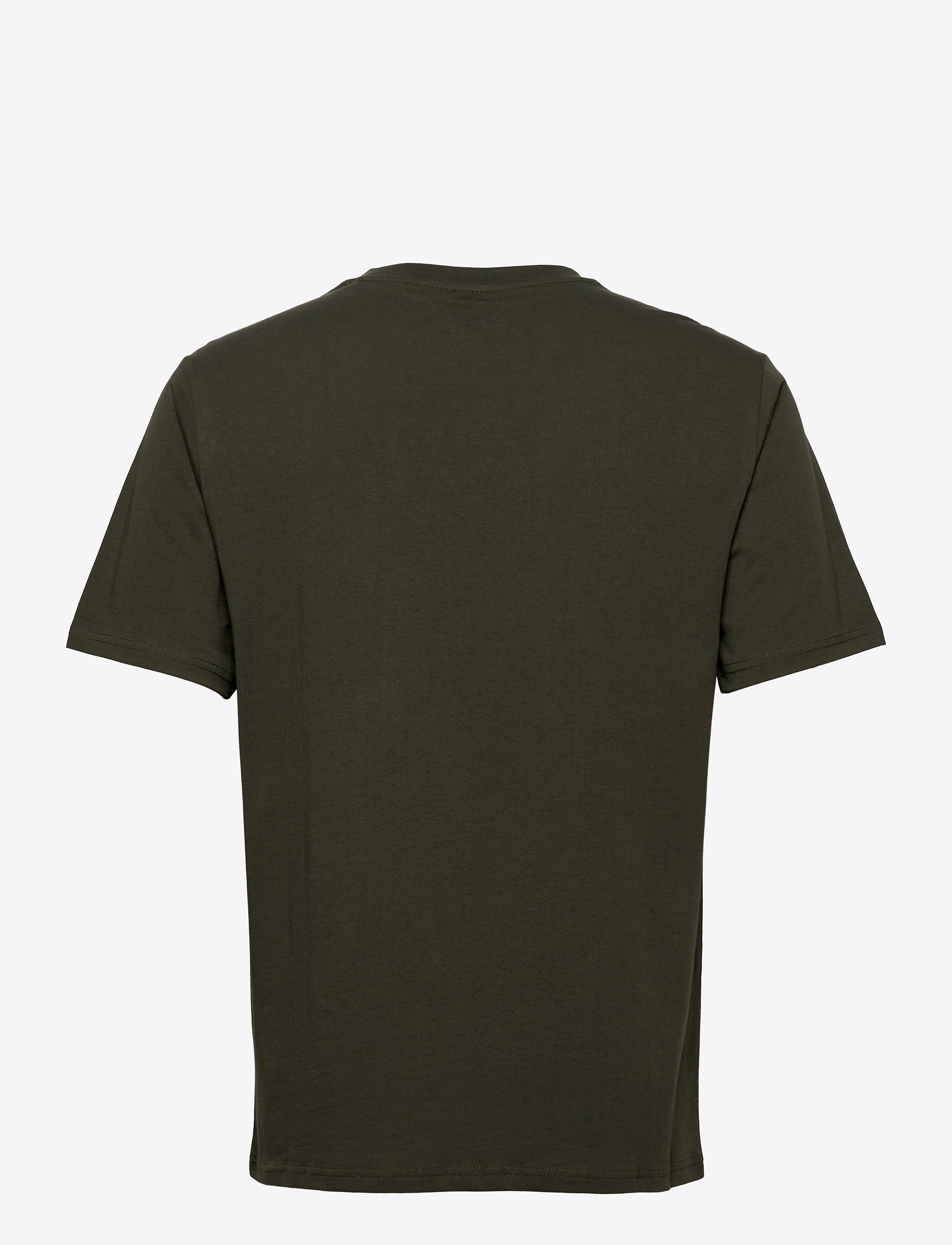 Dickies - MAPLETON SS TEE - kurzärmelig - olive green - 2
