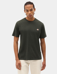 Dickies - SS MAPLETON TEE - lowest prices - olive green - 2