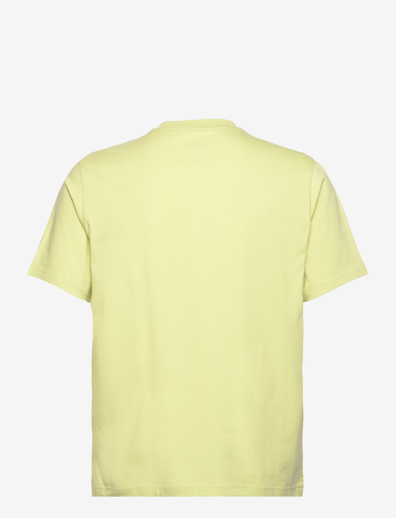 Dickies - MAPLETON SS TEE - efterårstøj - pale green - 1