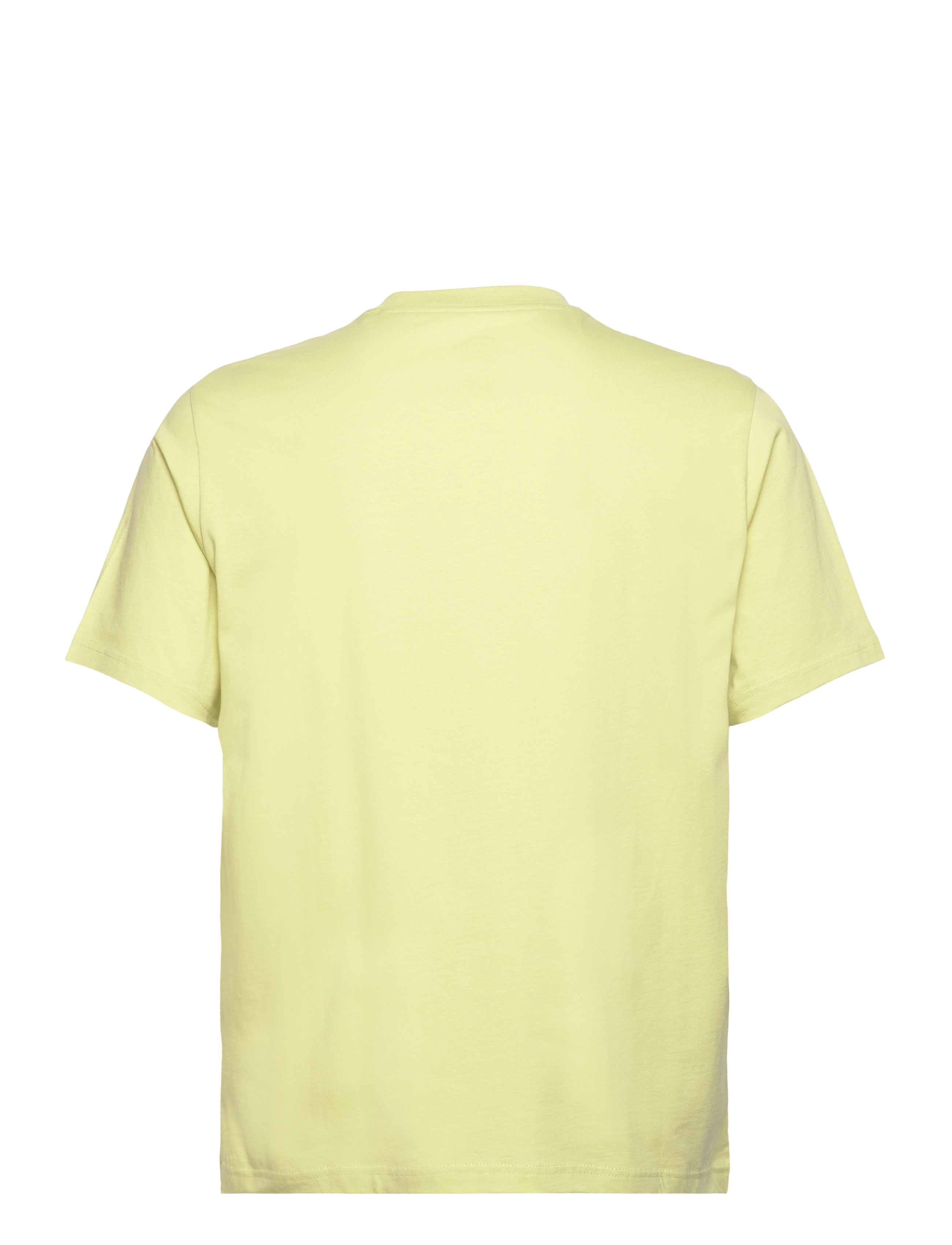 Dickies - MAPLETON SS TEE - die niedrigsten preise - pale green - 1