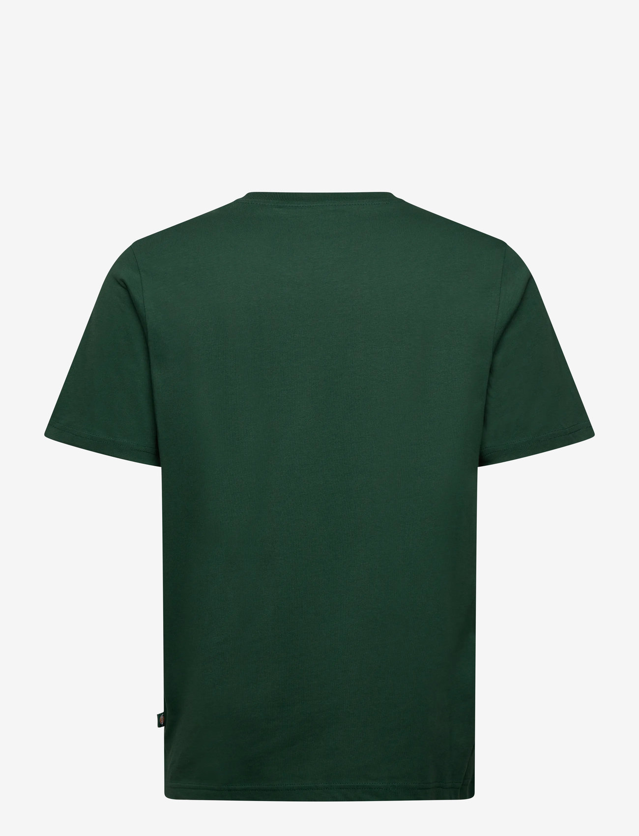 Dickies - MAPLETON SS TEE - syysvaatteet - pine needle gre - 1