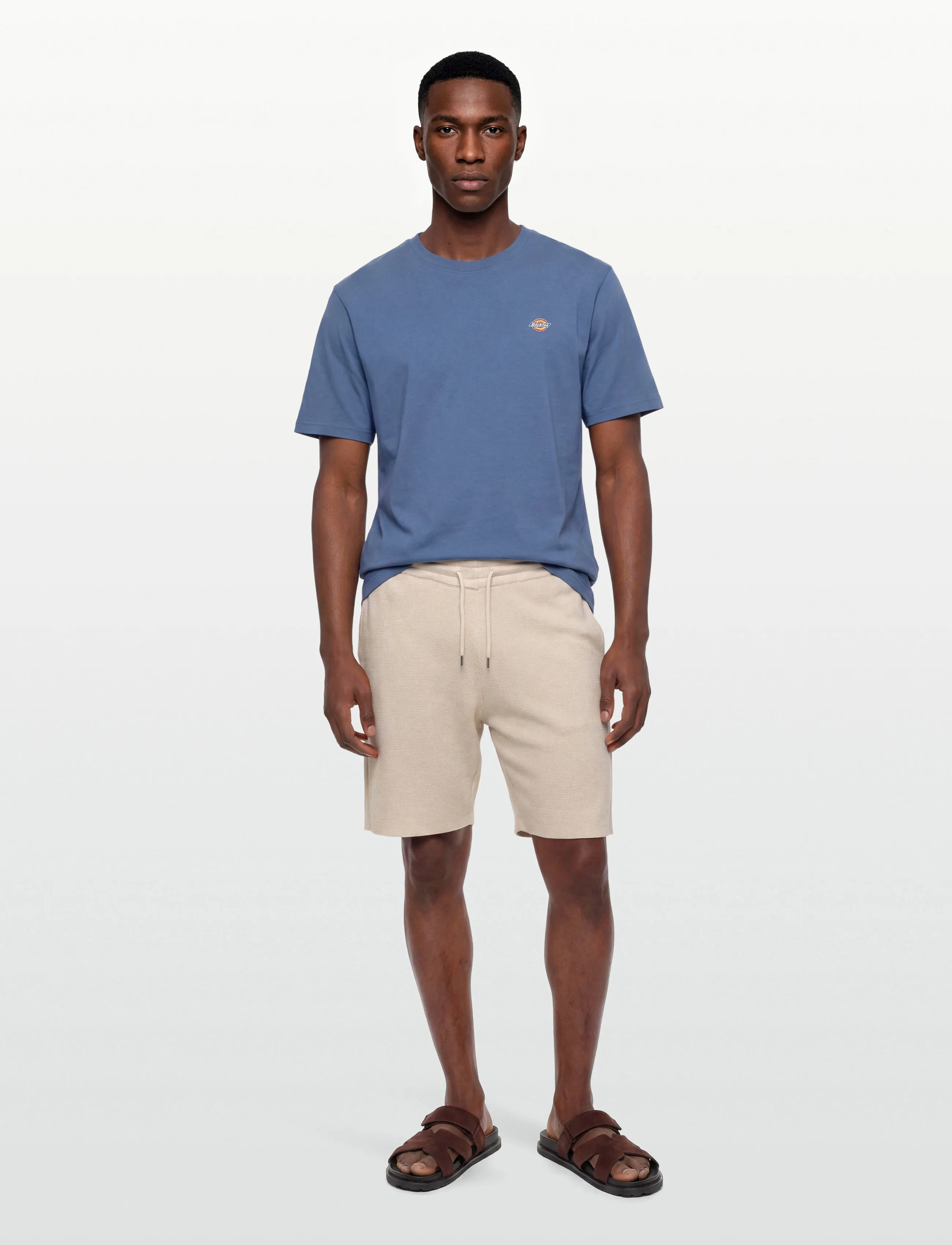 Dickies Mapleton Ss Tee, M, T-shirts, Blau - Short-sleeved, Männerswear