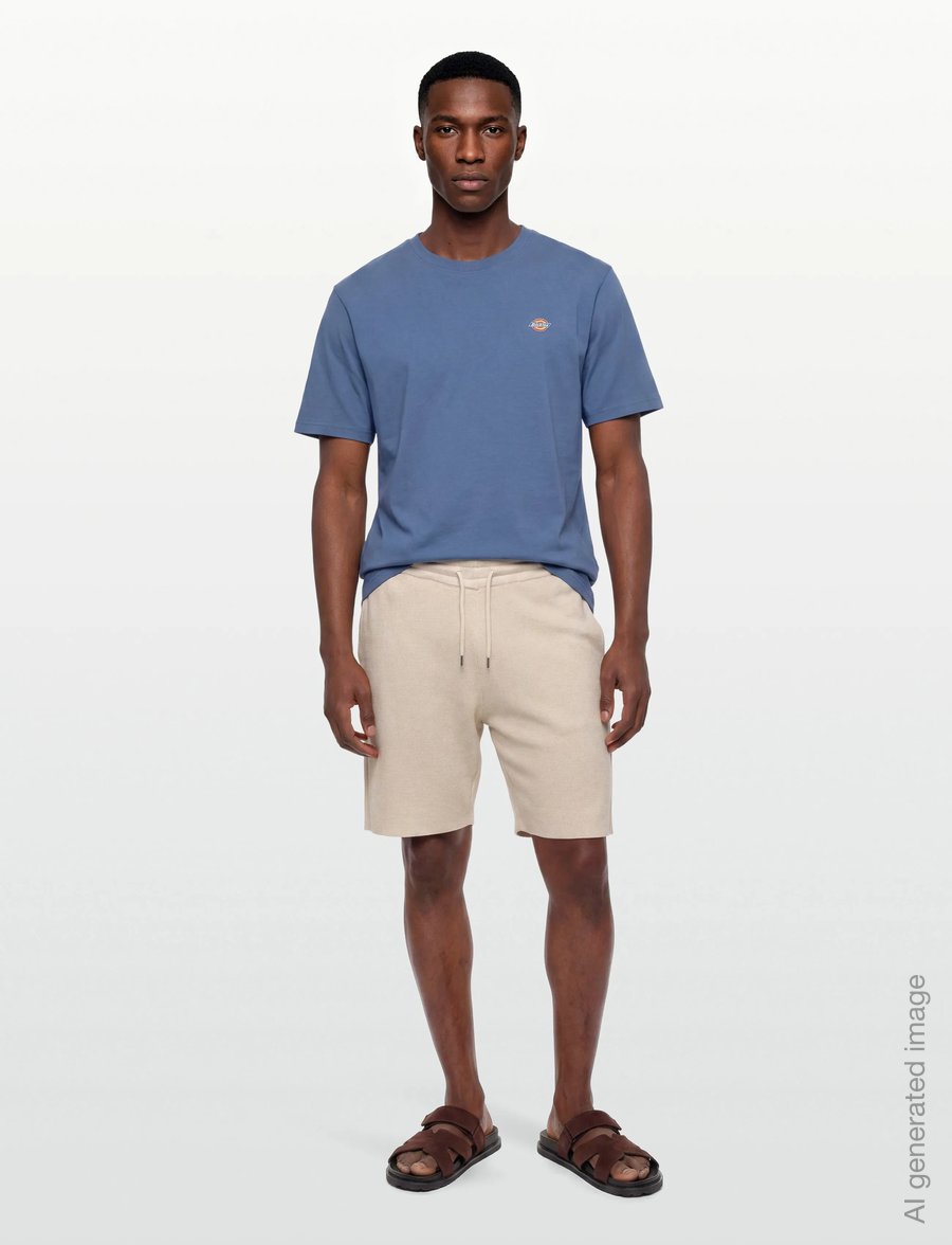 Dickies - MAPLETON SS TEE - kurzärmelige t-shirts - retro indigo - 0
