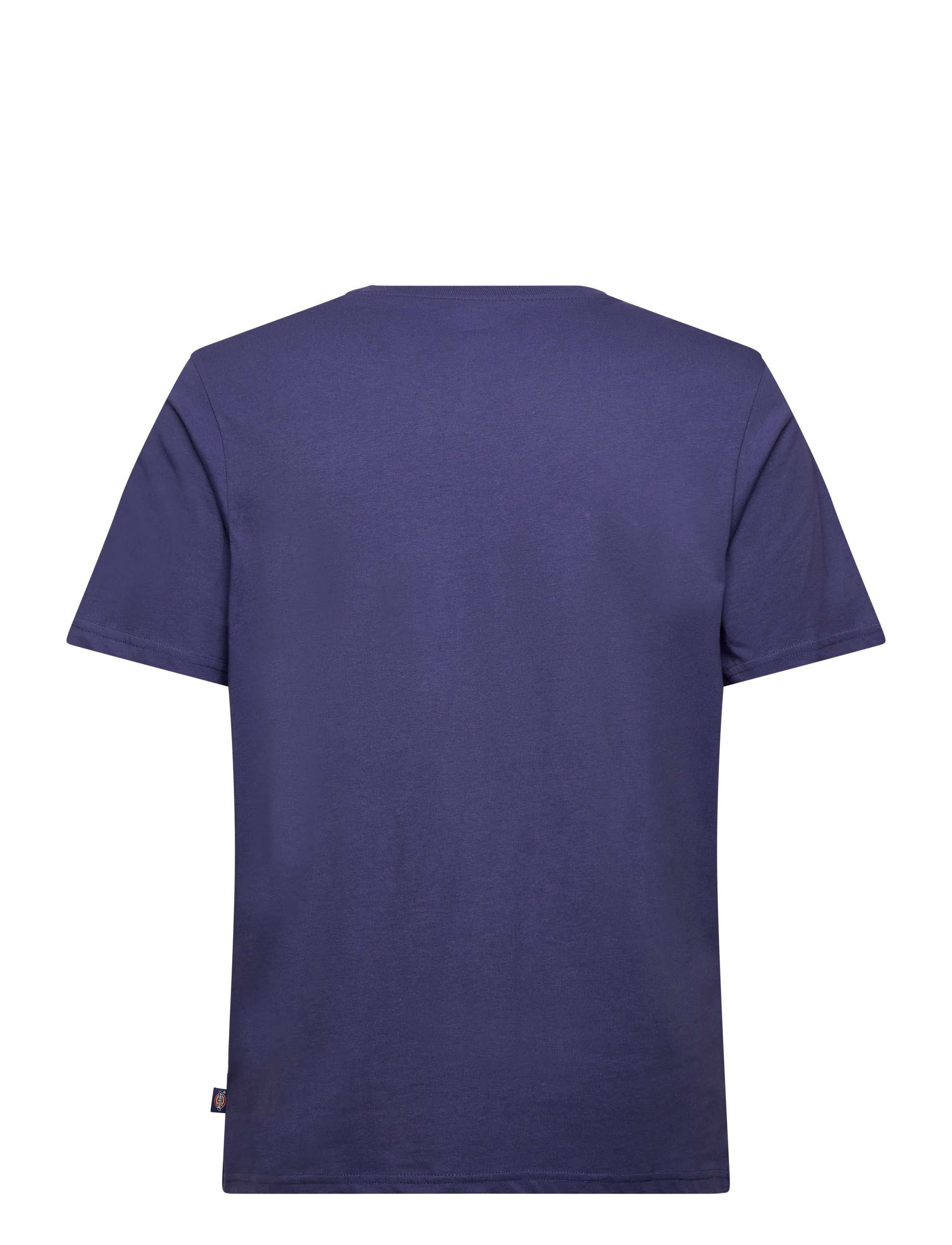 Dickies - MAPLETON SS TEE - madalaimad hinnad - skipper blue - 1