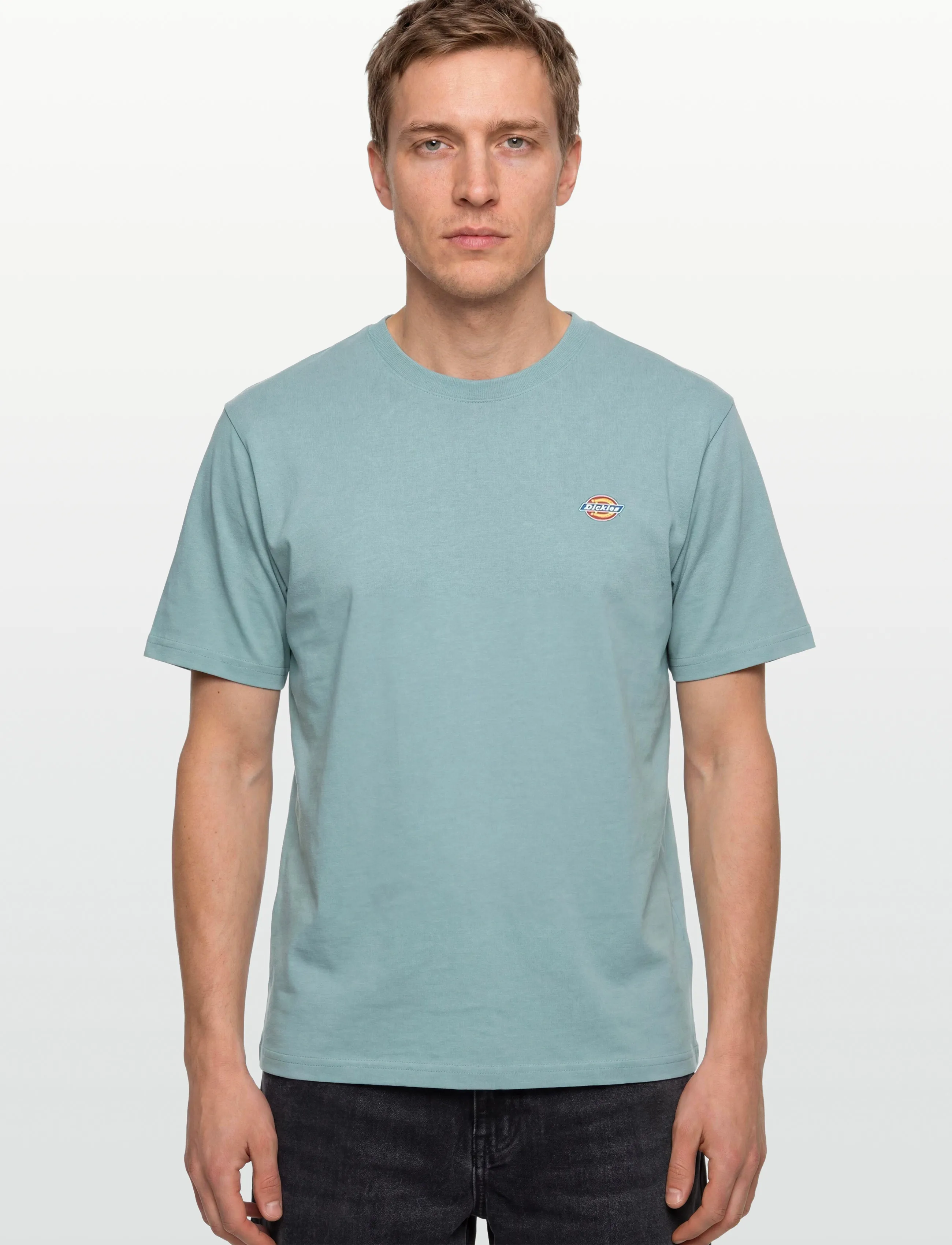 Dickies - MAPLETON SS TEE - kortærmede t-shirts - stormy sea - 3