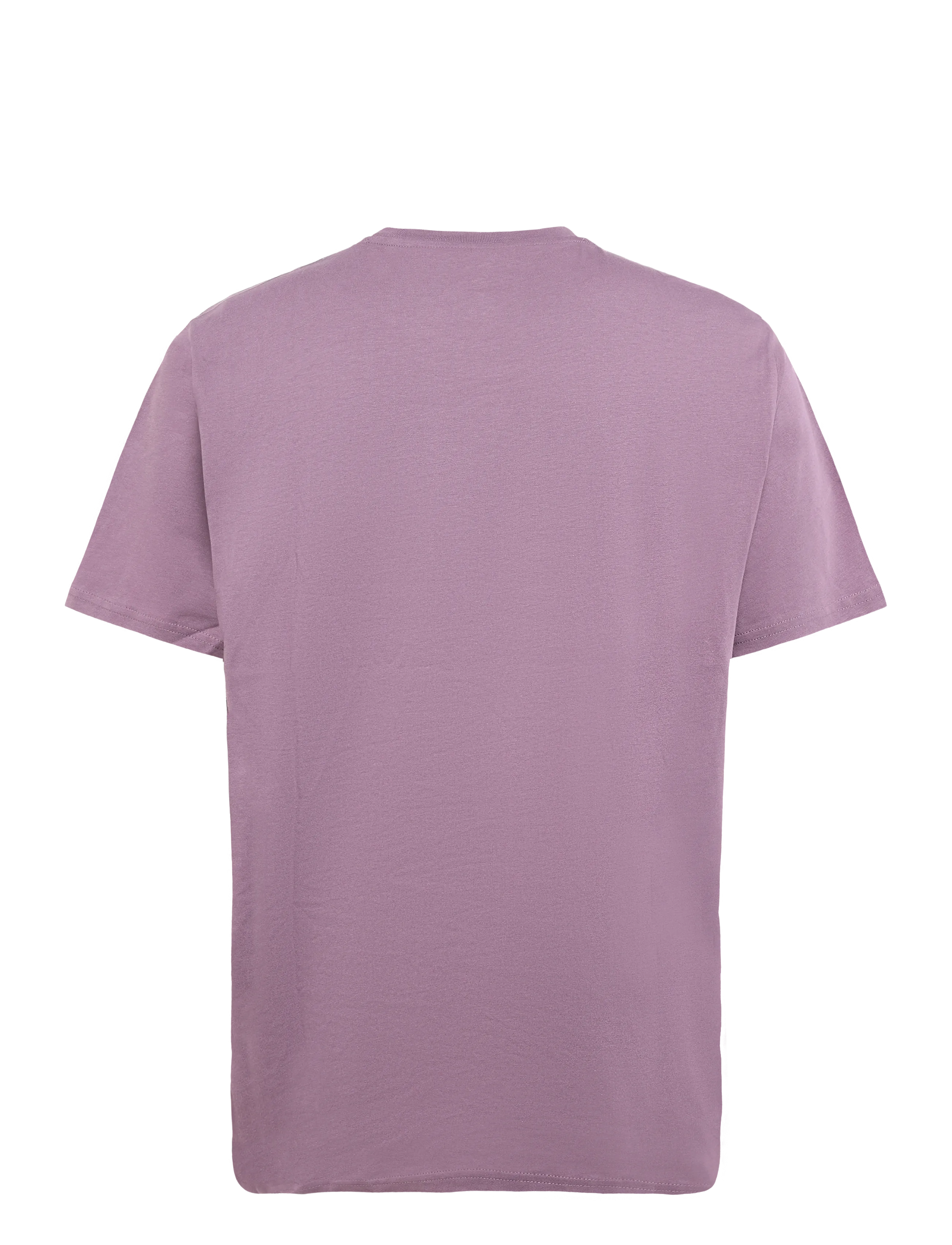Dickies - MAPLETON SS TEE - kortærmede t-shirts - vintage violet - 1