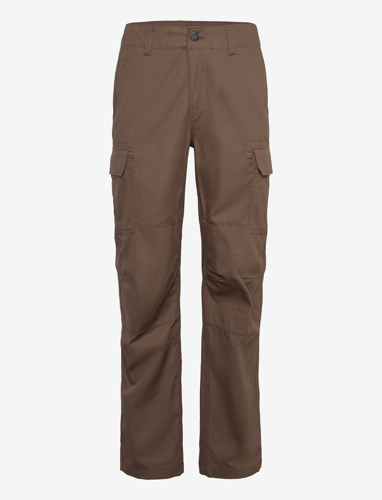 Dickies - MILLERVILLE - cargobyxor - mushroom - 0