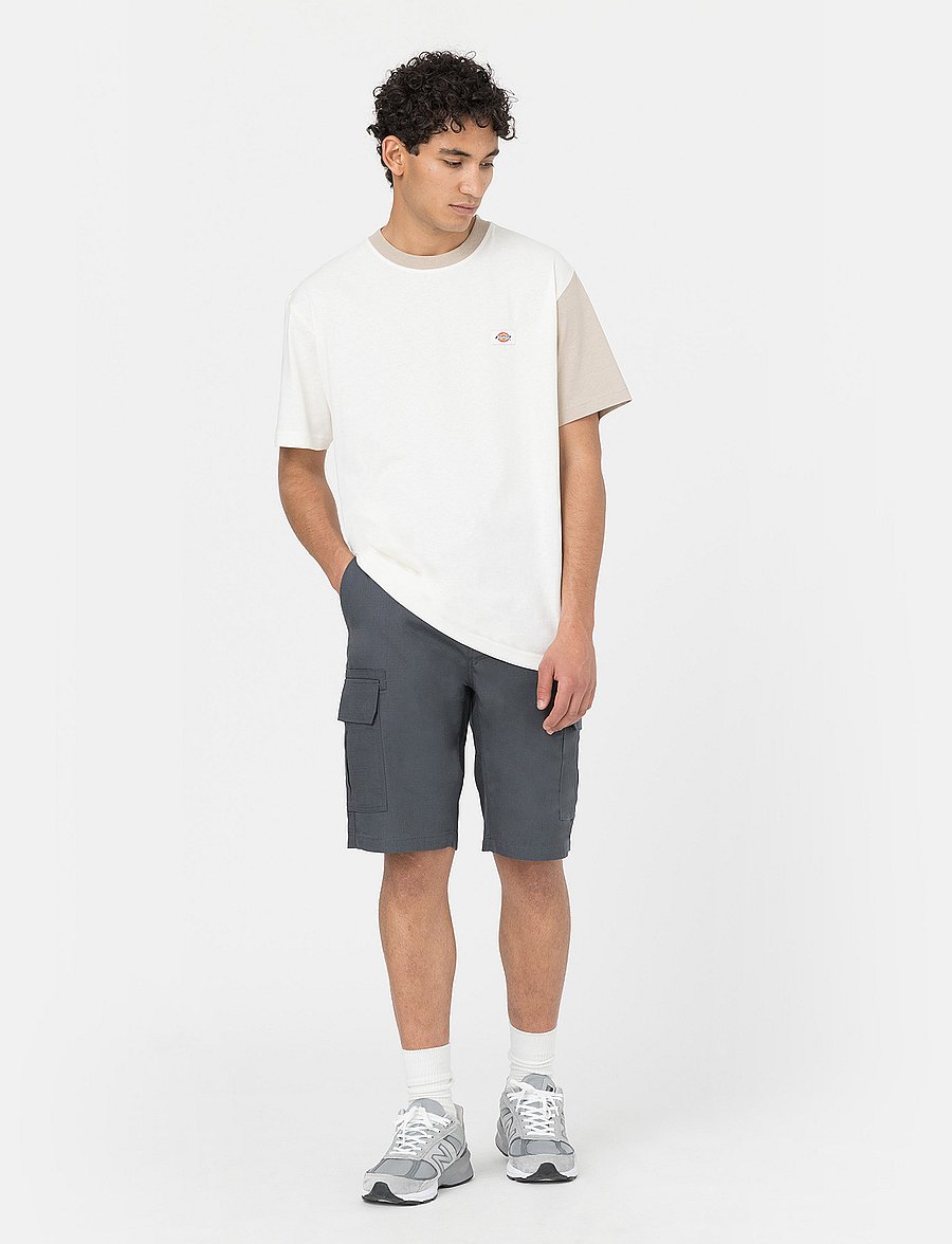 Dickies - MILLERVILLE SHORT - lühikesed kargopüksid - charcoal grey - 4