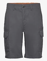 Dickies - MILLERVILLE SHORT - shorts - charcoal grey - 0