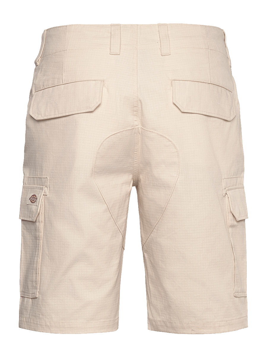 Dickies - MILLERVILLE SHORT - cargoshorts - whitecap gray - 2