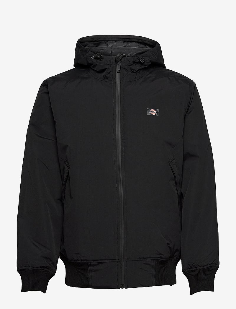 Dickies - NEW SARPY JACKET - efterårsjakker - black - 0