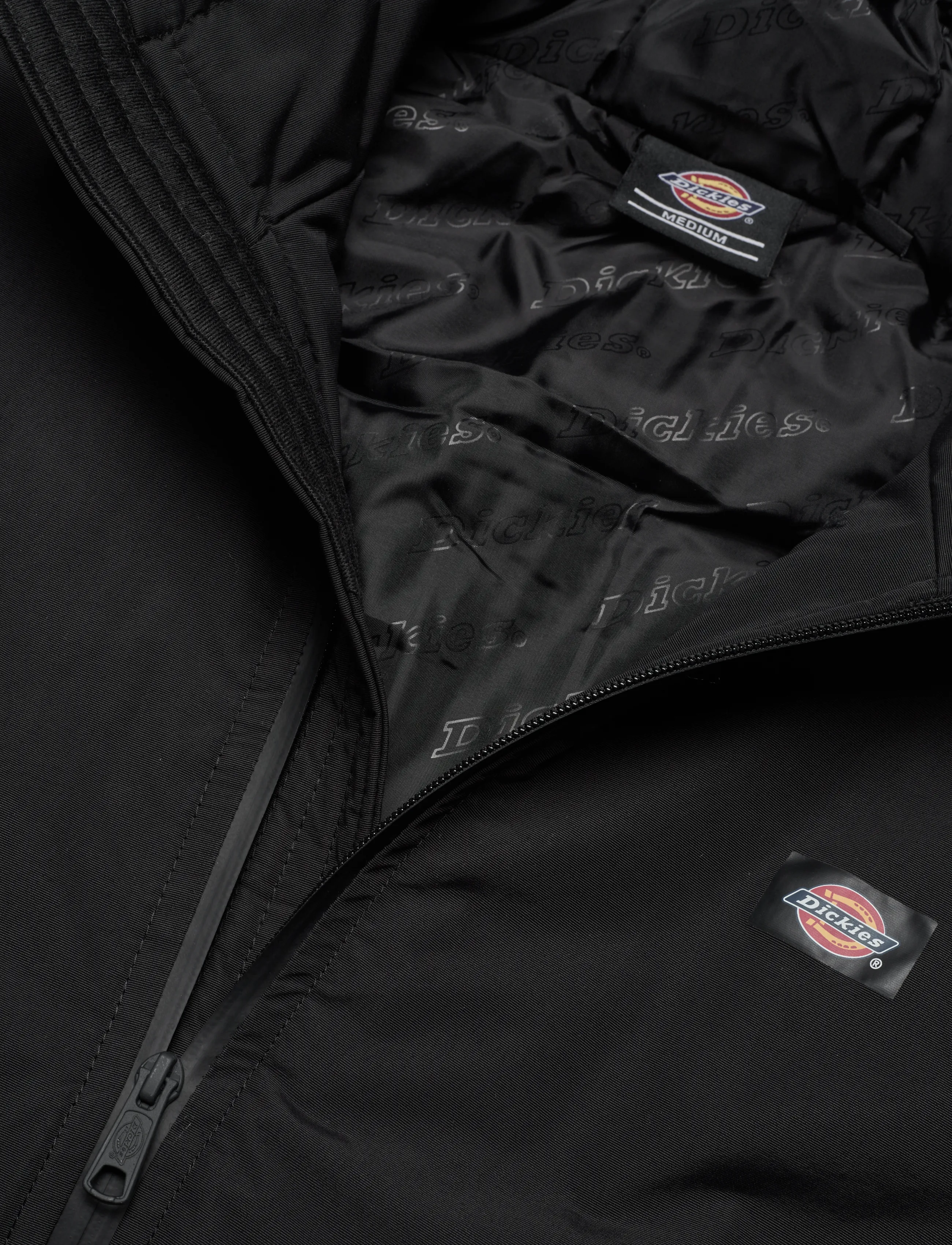 Dickies - NEW SARPY JACKET - outerwear - black - 2
