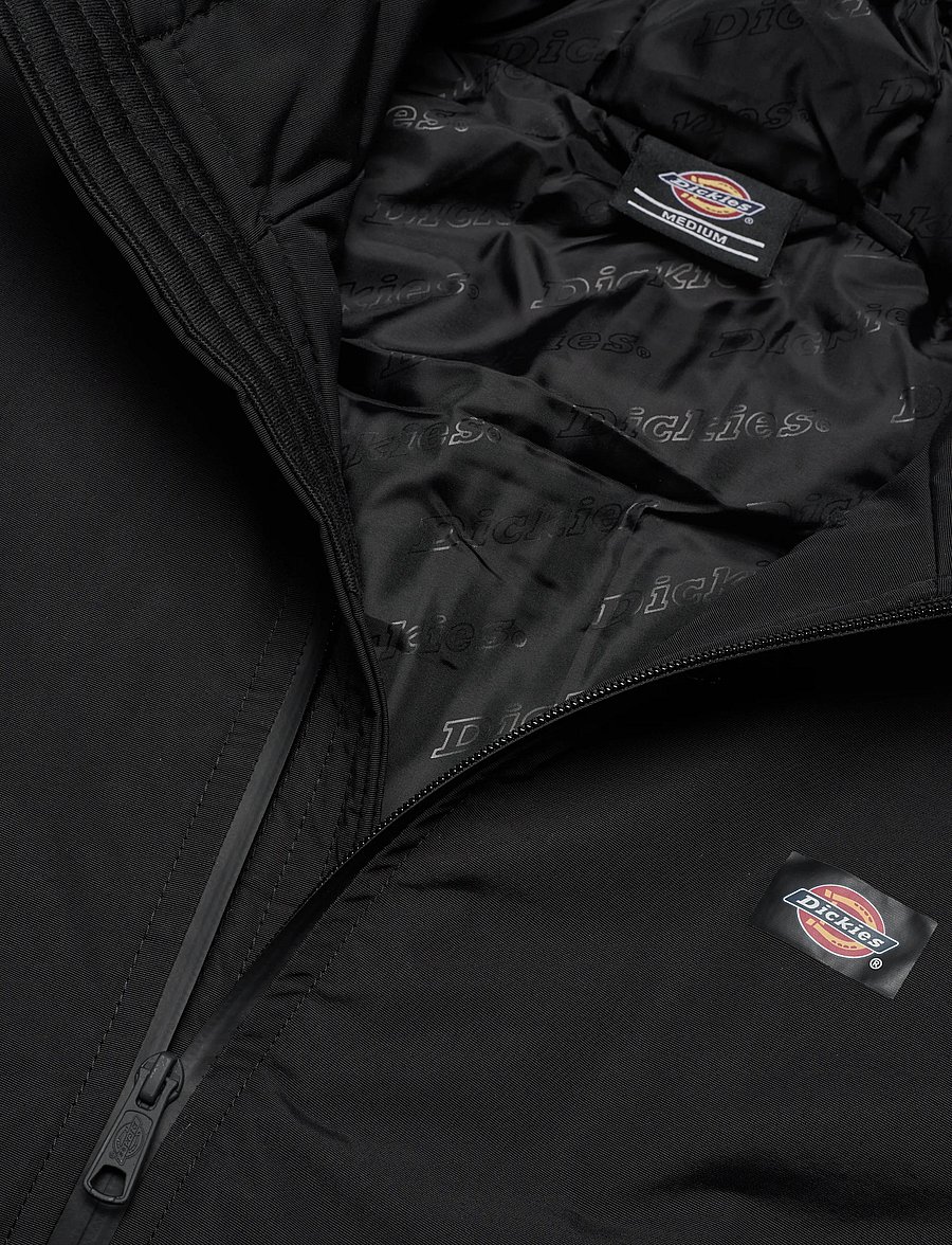 Dickies - NEW SARPY JACKET - frühlingsjacken - black - 2