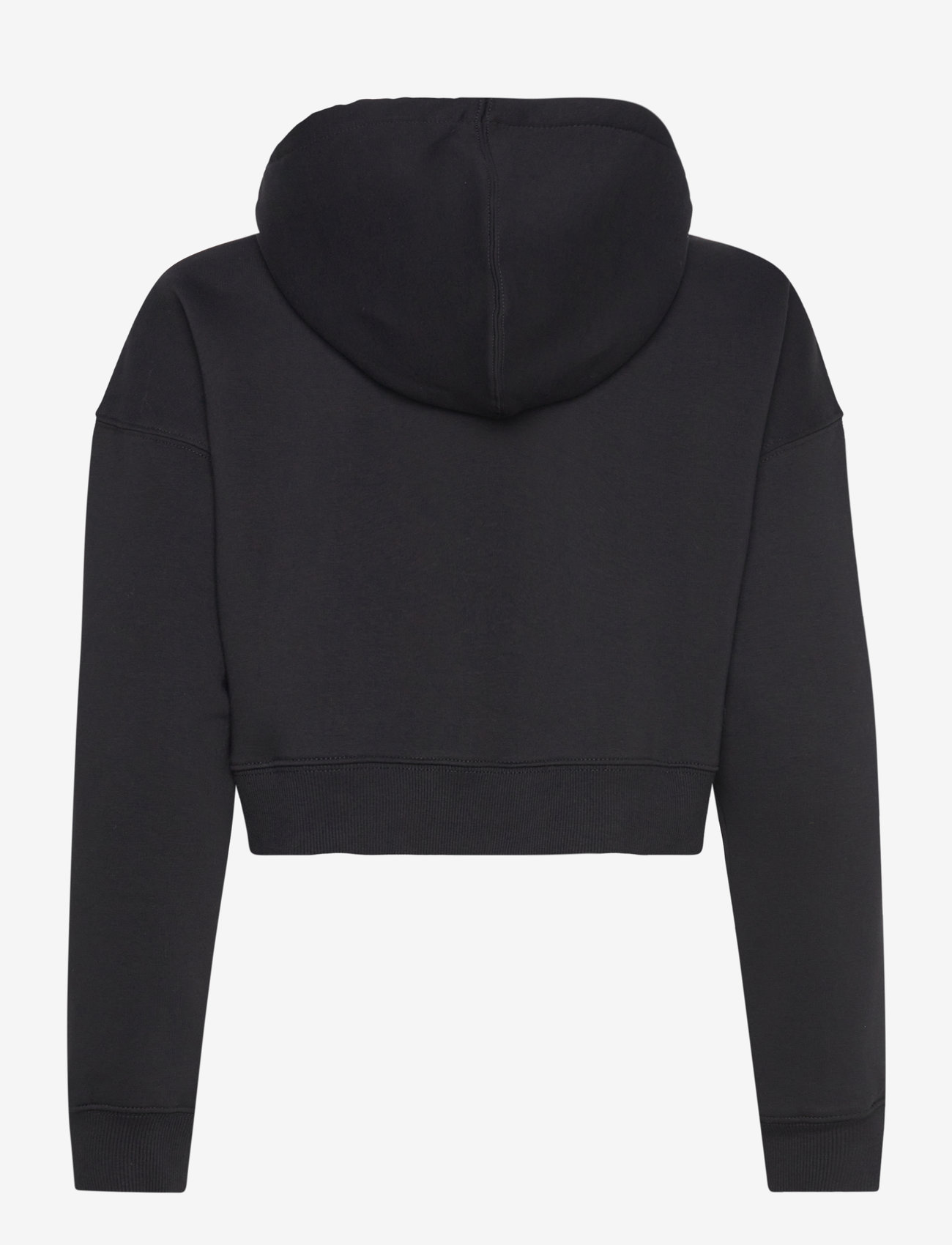 Dickies - OAKPORT CROPPED HOODIE - kapuutsiga dressipluusid - black - 1