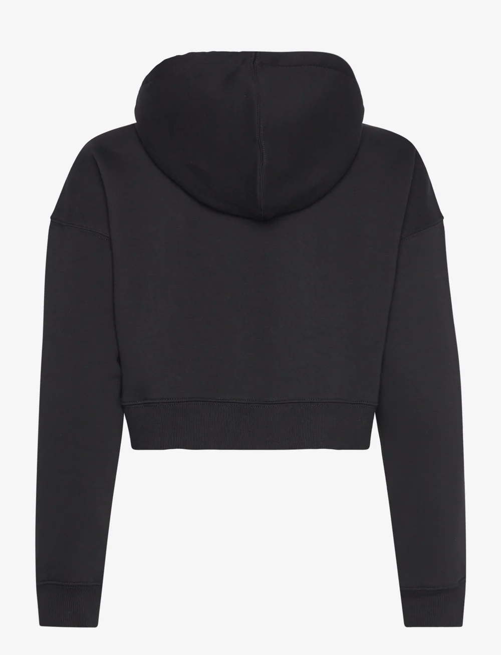 Dickies - OAKPORT CROPPED HOODIE - hoodies - black - 1