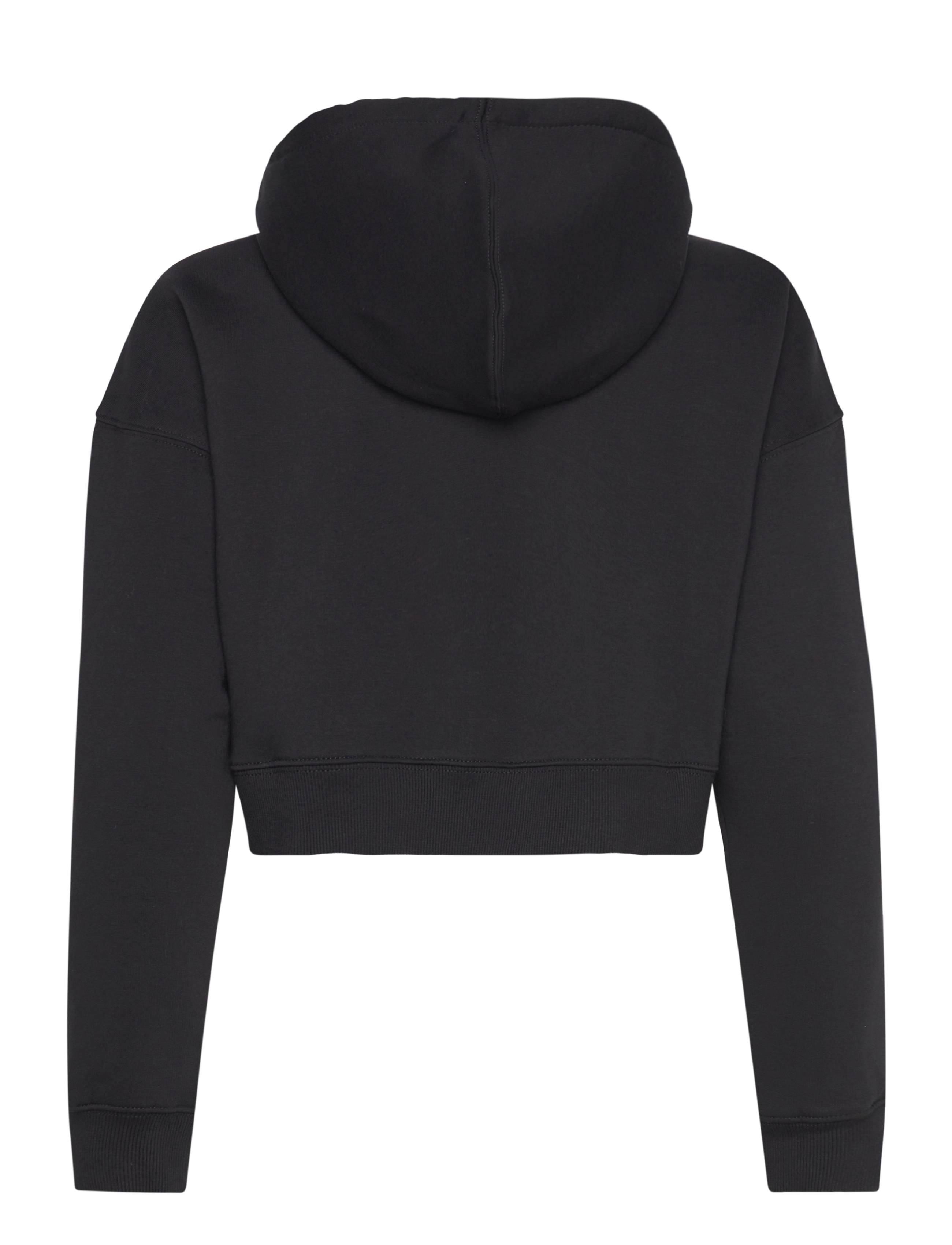 Dickies - OAKPORT CROPPED HOODIE - black - 1