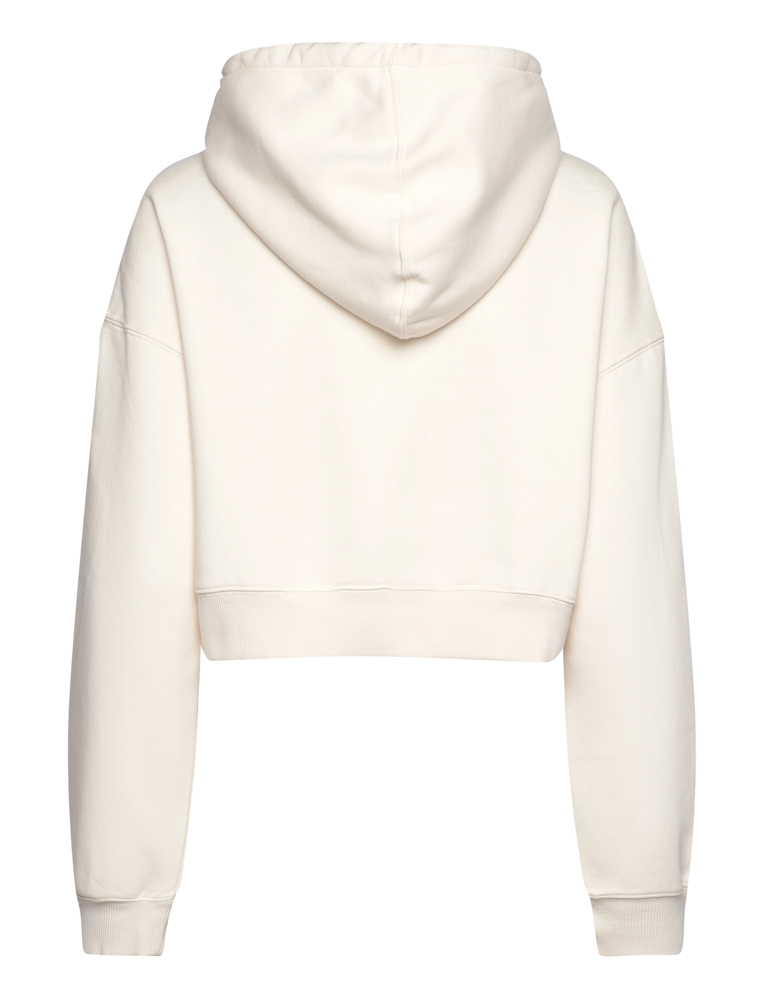 Dickies - OAKPORT CROPPED HOODIE - ecru - 1