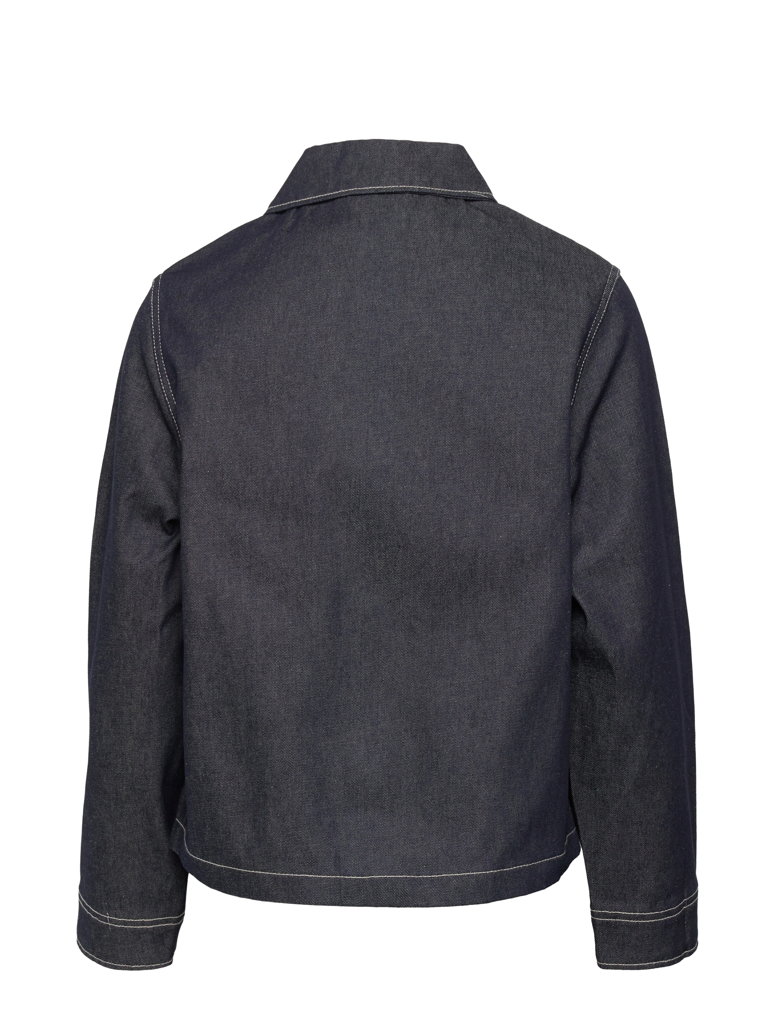Dickies - DENIM 100 CHORE W - raw - 1
