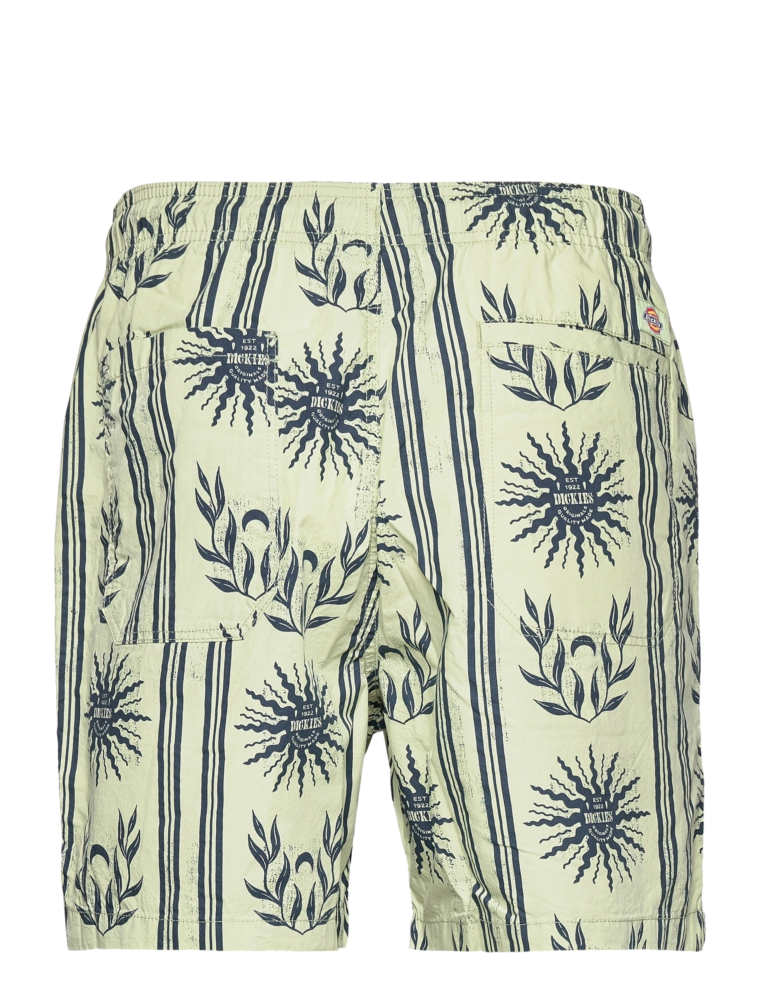 Dickies - KELSO SHORT - celadon green - 1