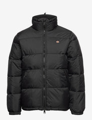 Dickies - WALDENBURG - winter jackets - black - 0