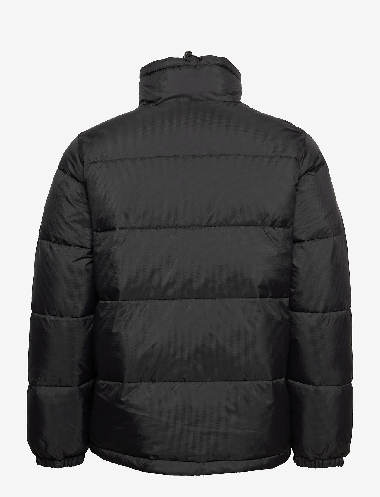 Dickies - WALDENBURG JACKET - efterårsjakker - black - 1