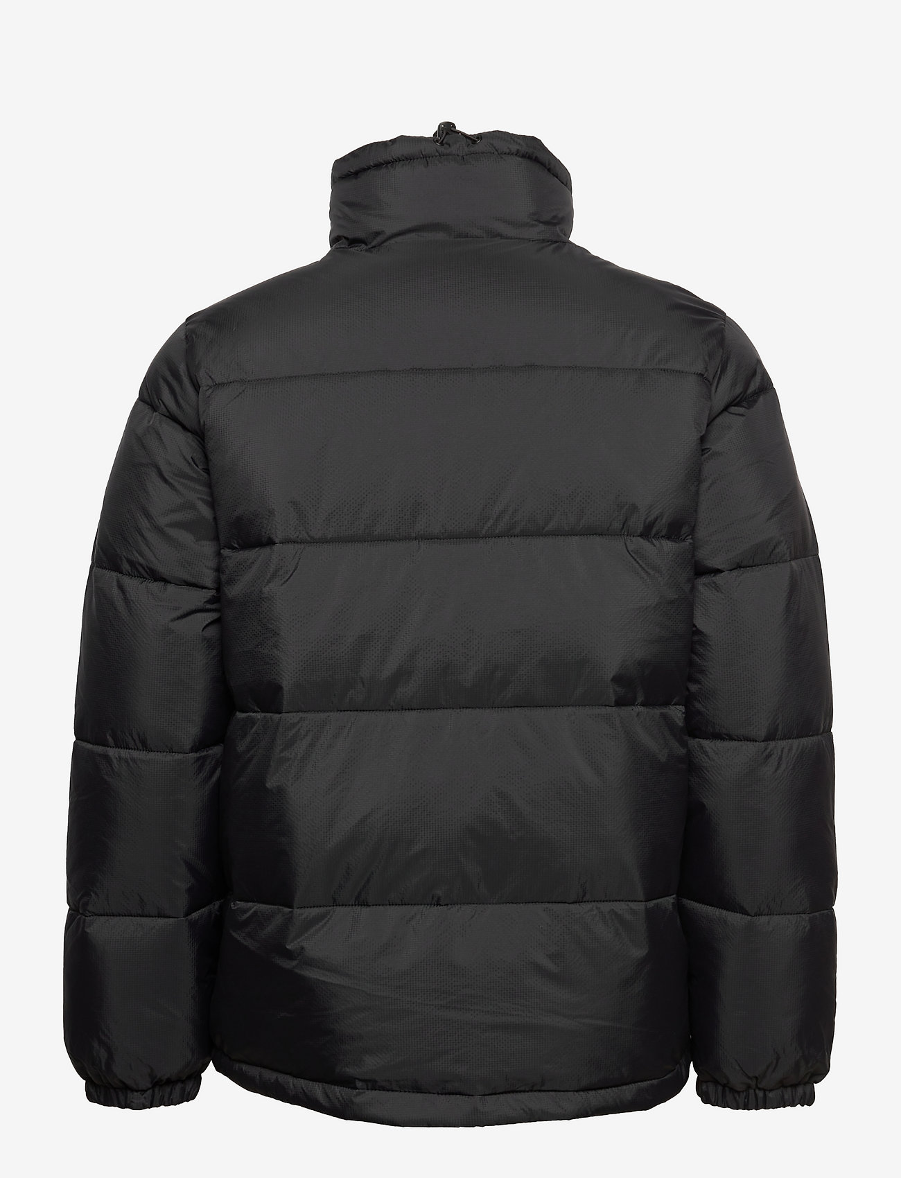 Dickies - WALDENBURG - winter jackets - black - 1